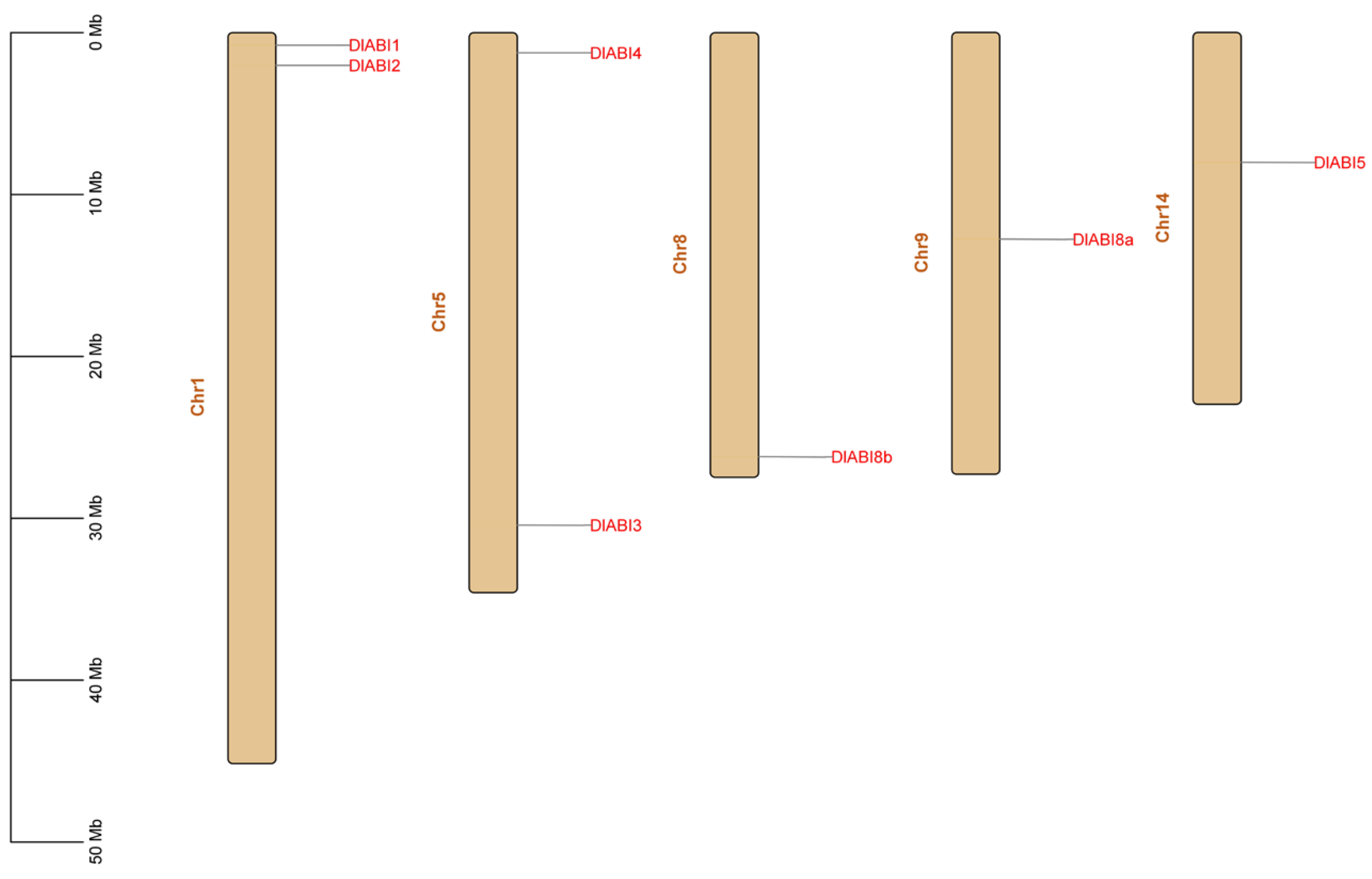 Plants 14 03508 g002 Plants 14 03508 g002