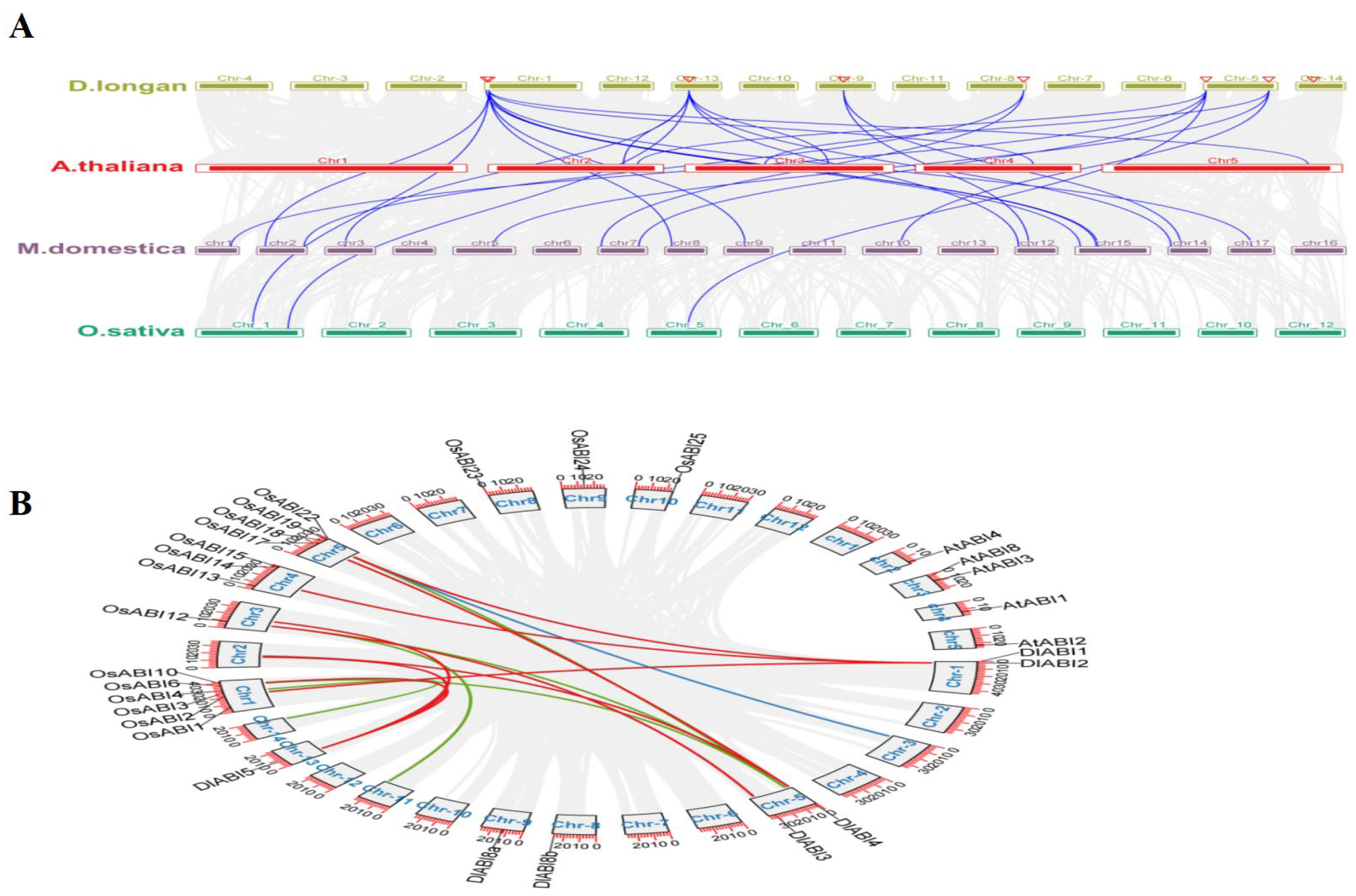 Plants 14 03508 g005 Plants 14 03508 g005