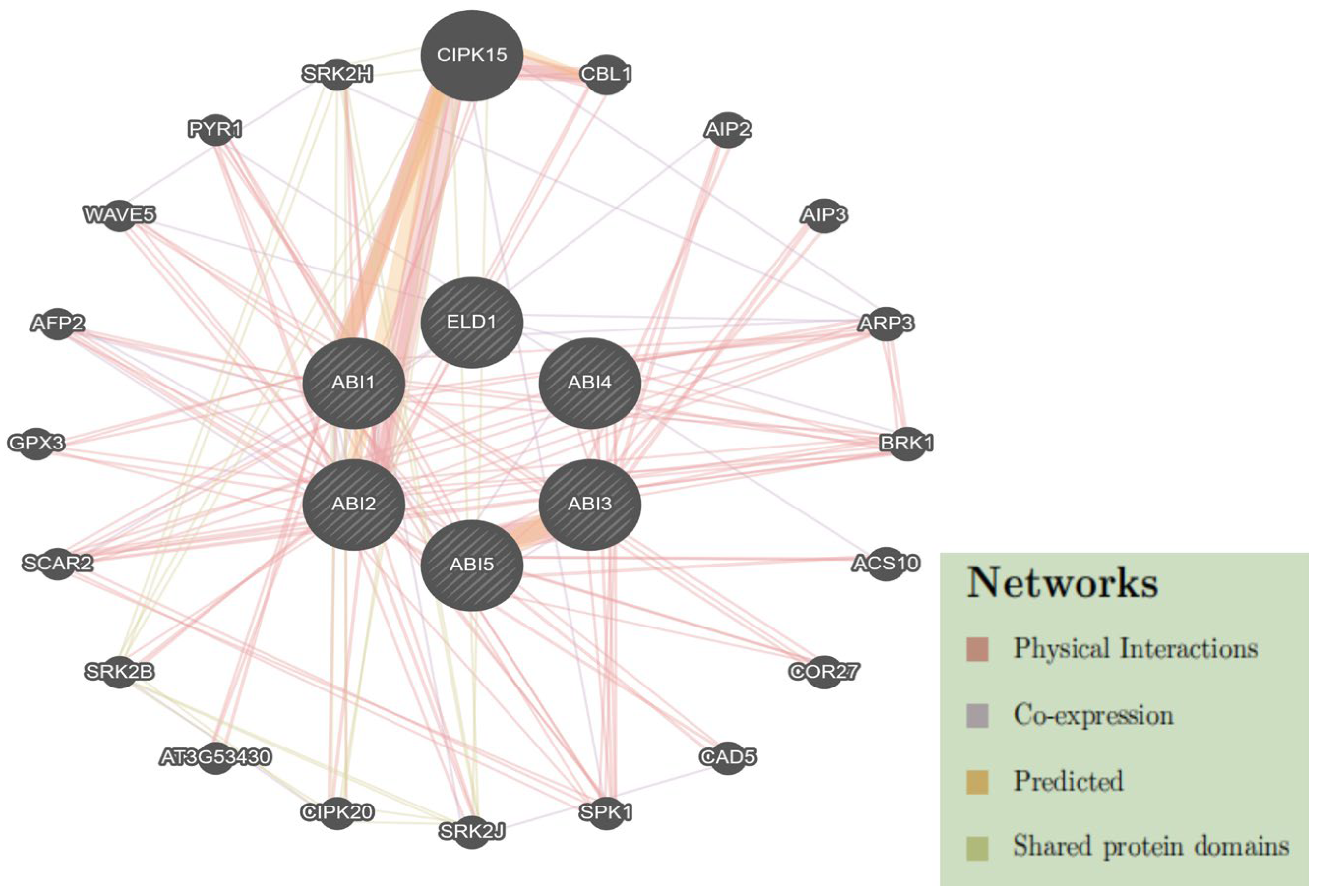 Plants 14 03508 g006 Plants 14 03508 g006
