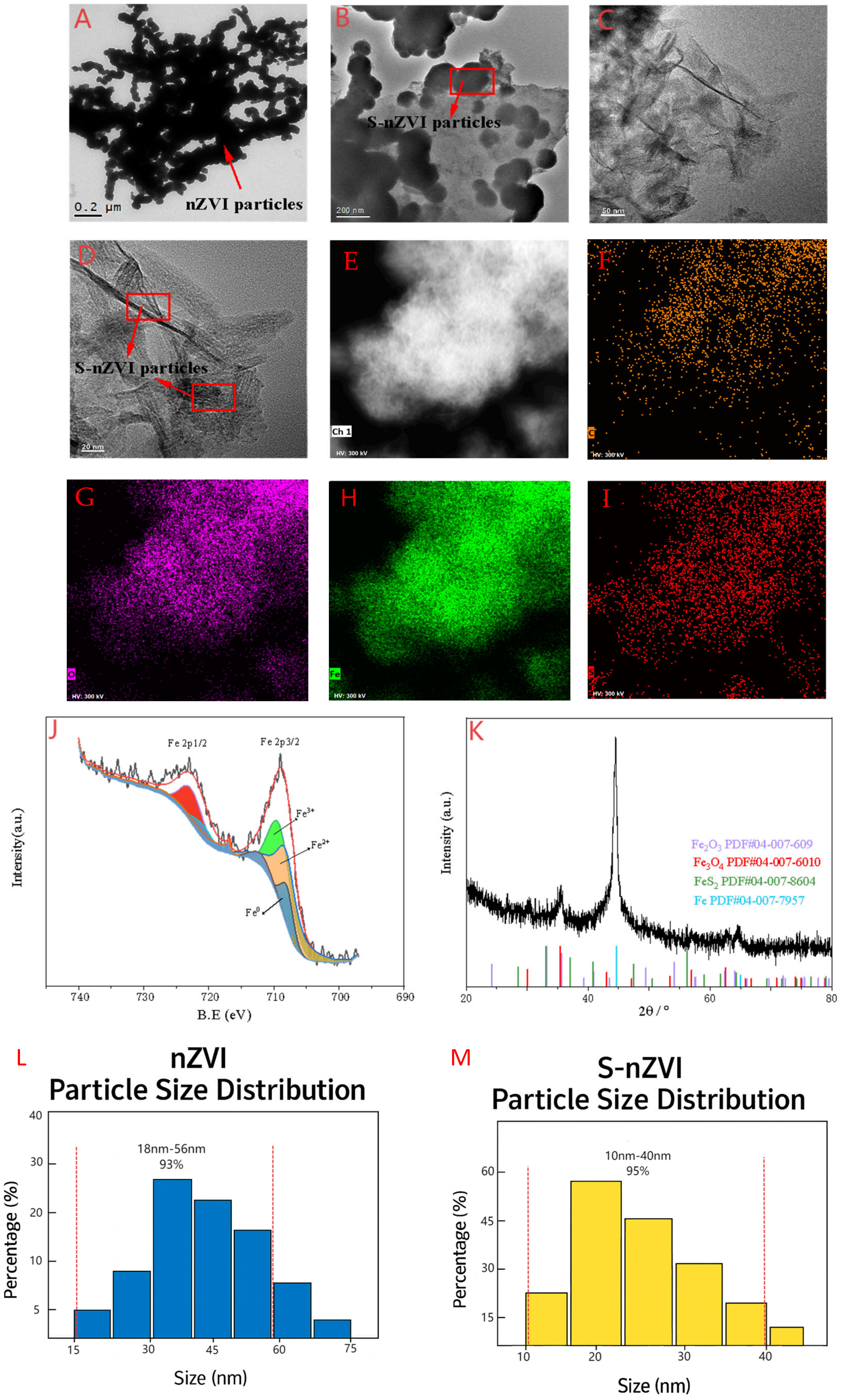 Plants 14 03509 g001 Plants 14 03509 g001