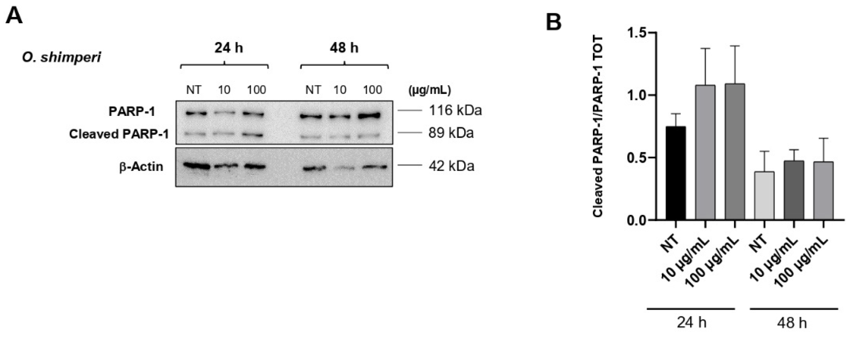 Plants 14 03513 g004