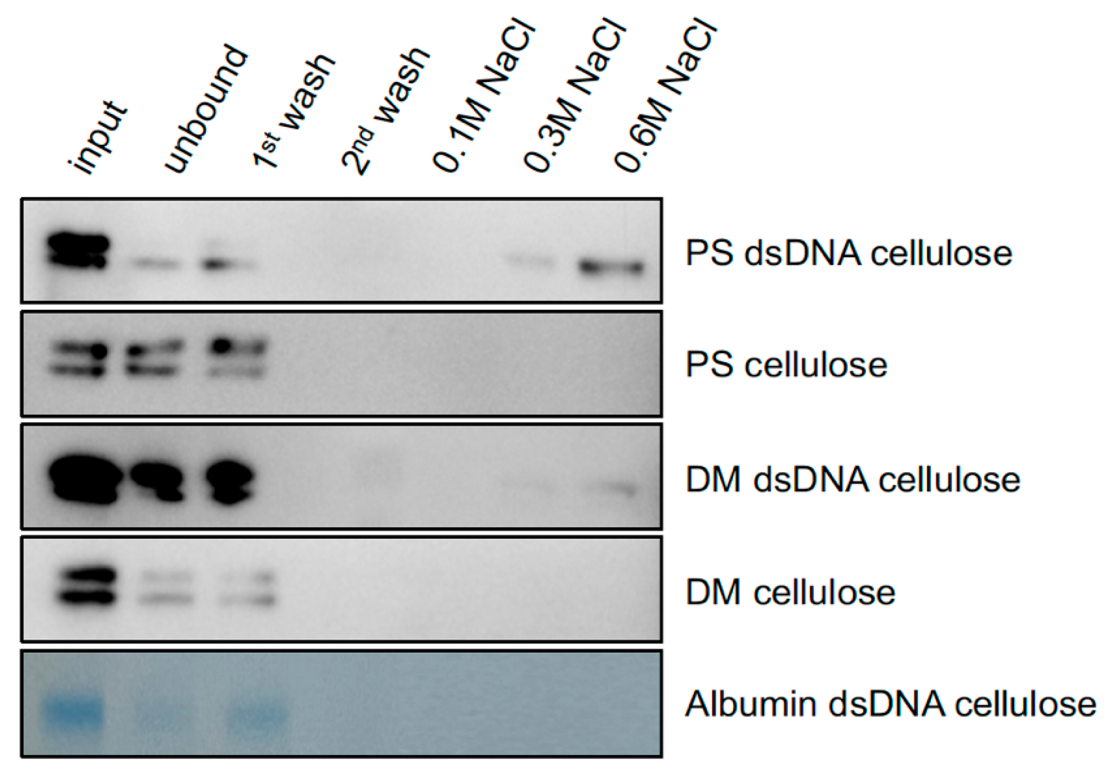 Plants 14 03514 g002