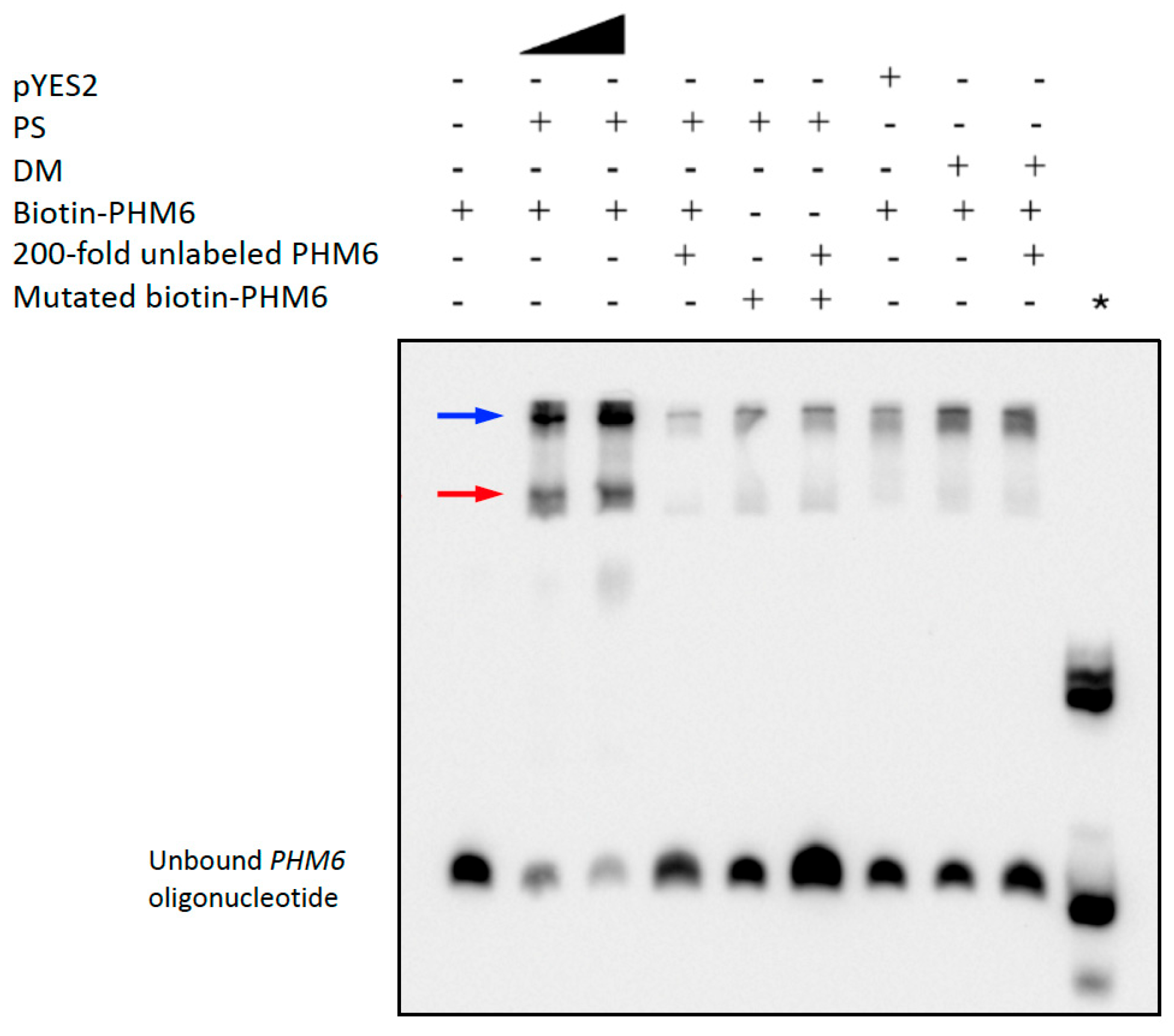 Plants 14 03514 g003