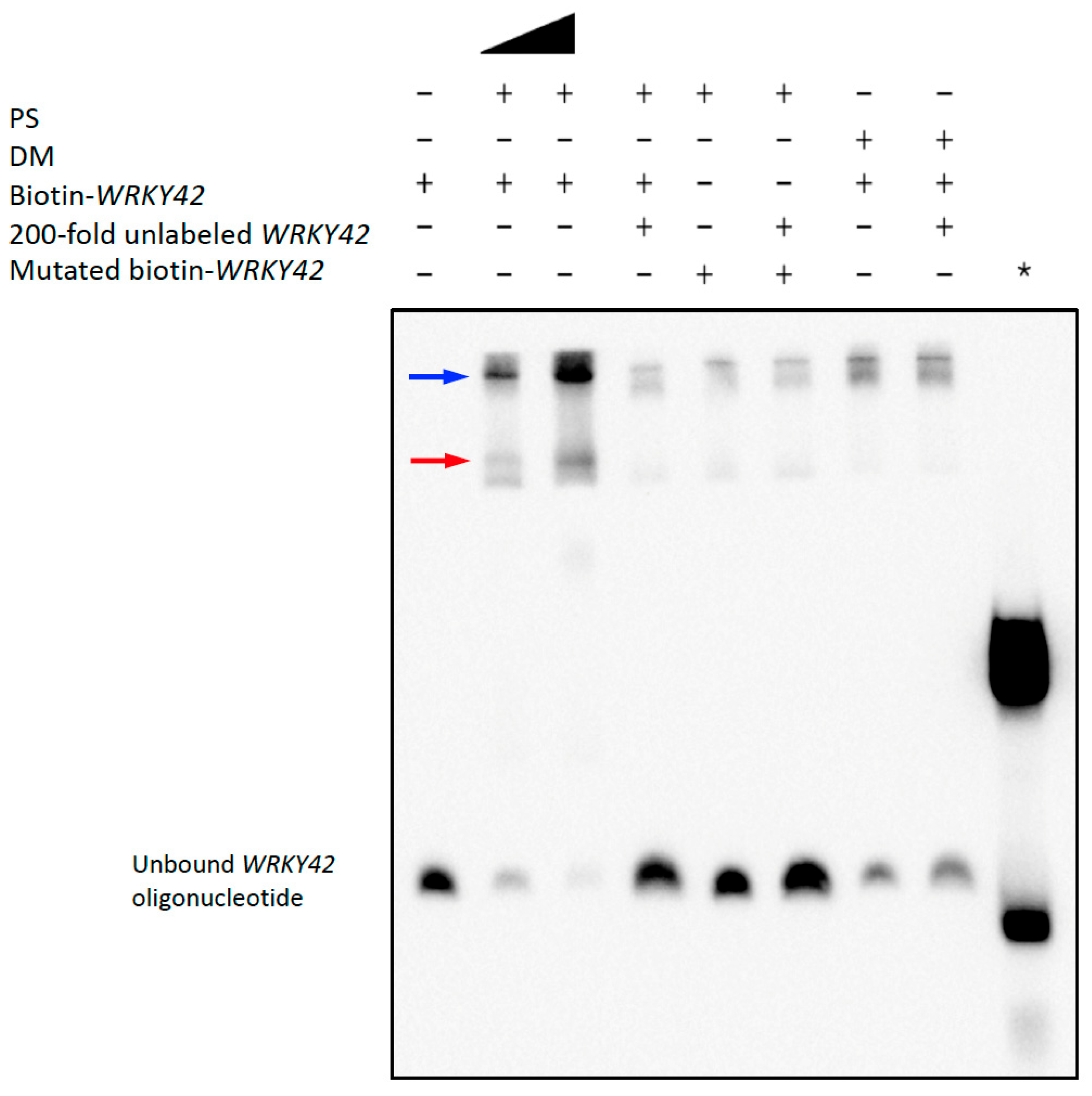 Plants 14 03514 g004
