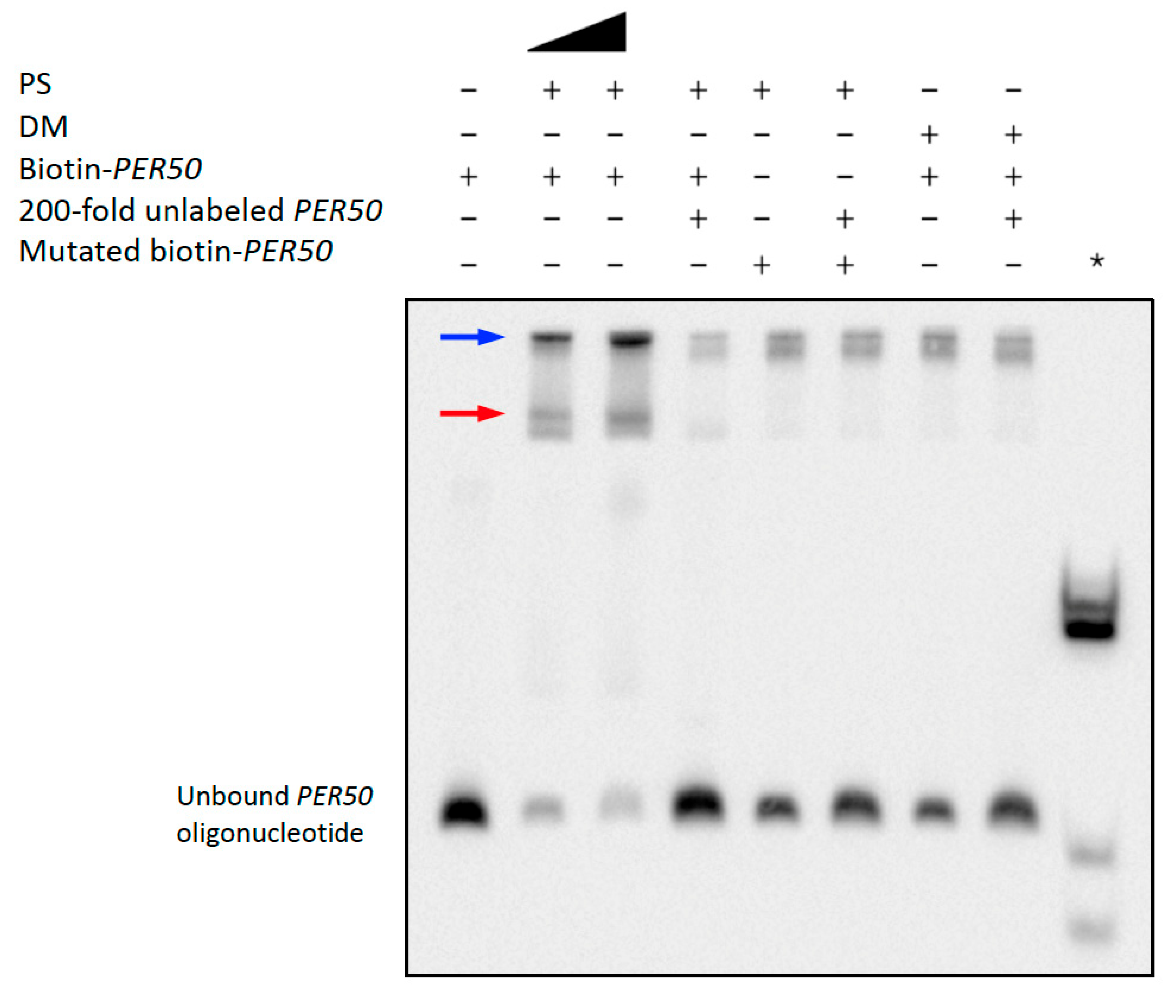 Plants 14 03514 g005