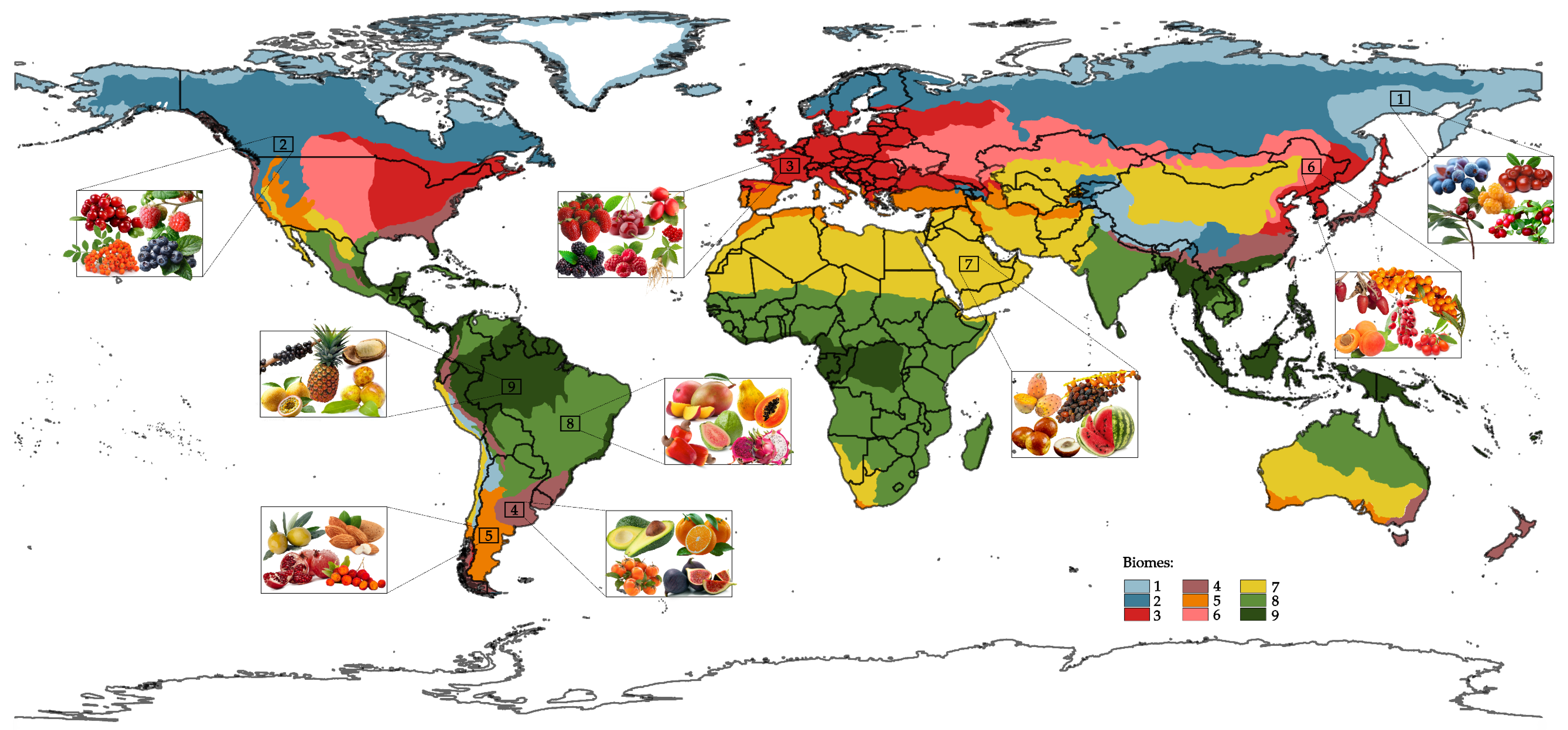 Plants 14 03515 g002