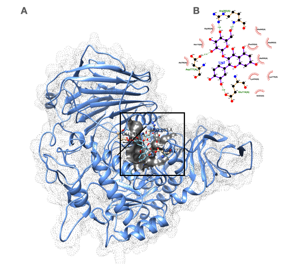 Plants 14 03517 g003