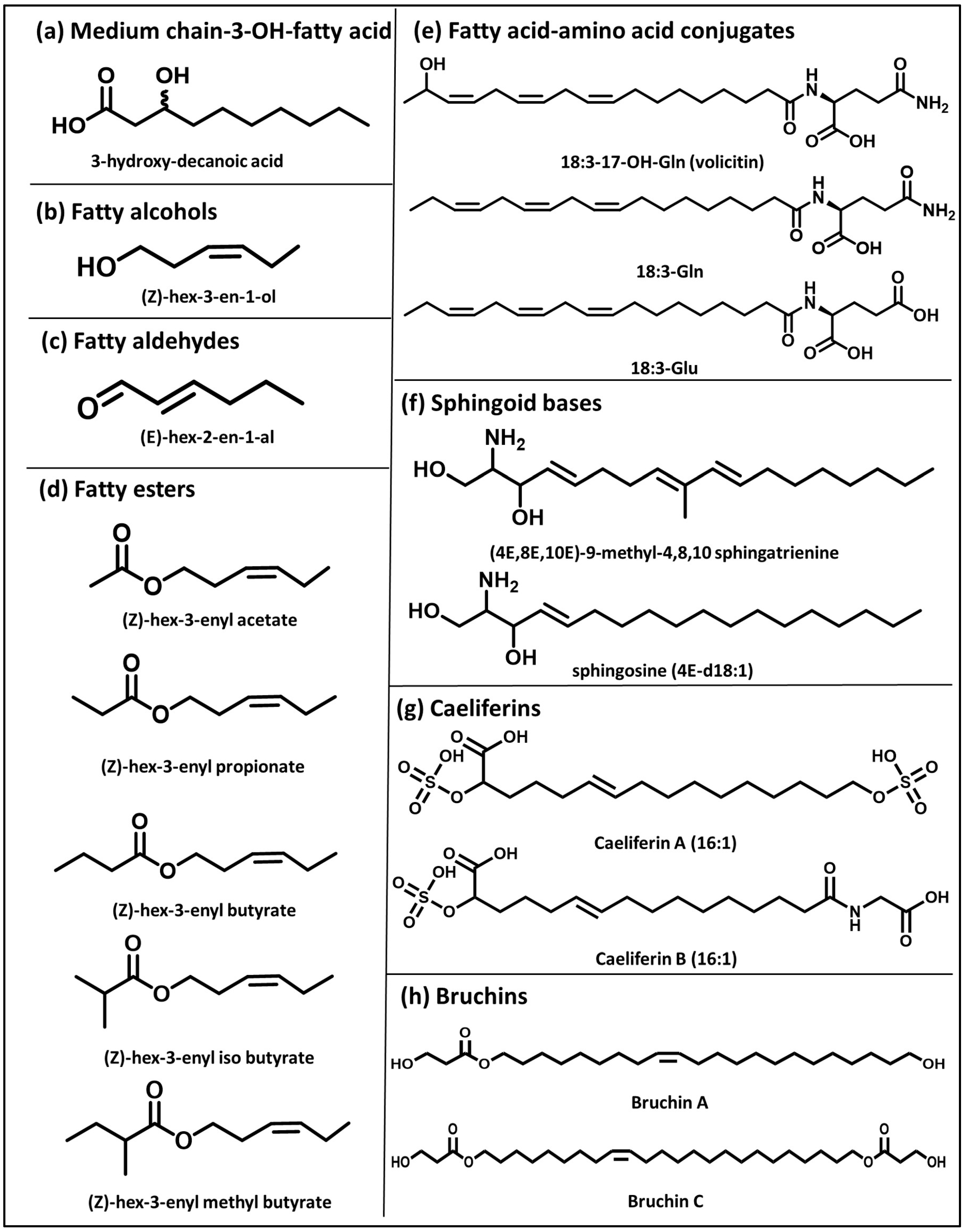 Plants 14 03518 g001