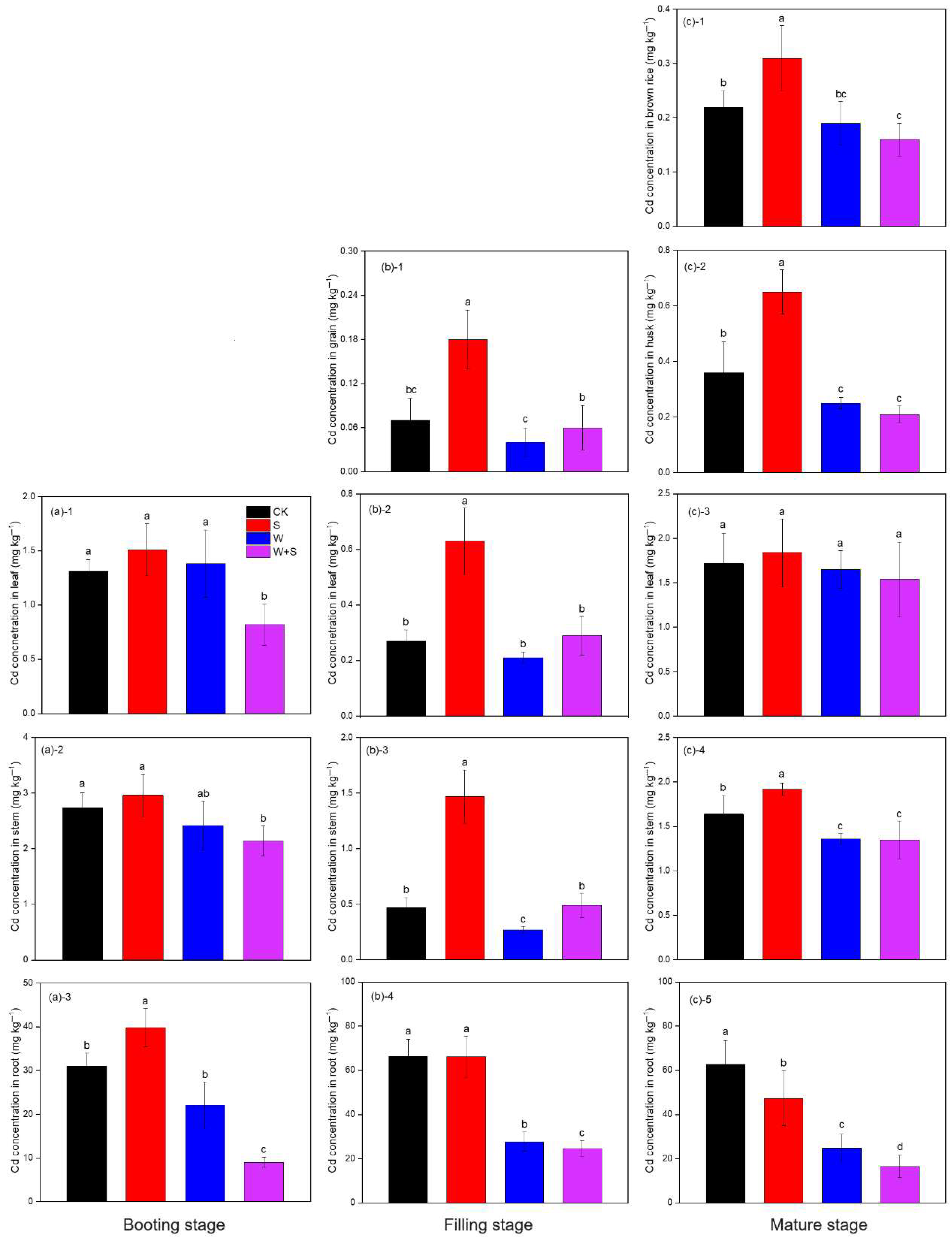 Plants 14 03519 g004