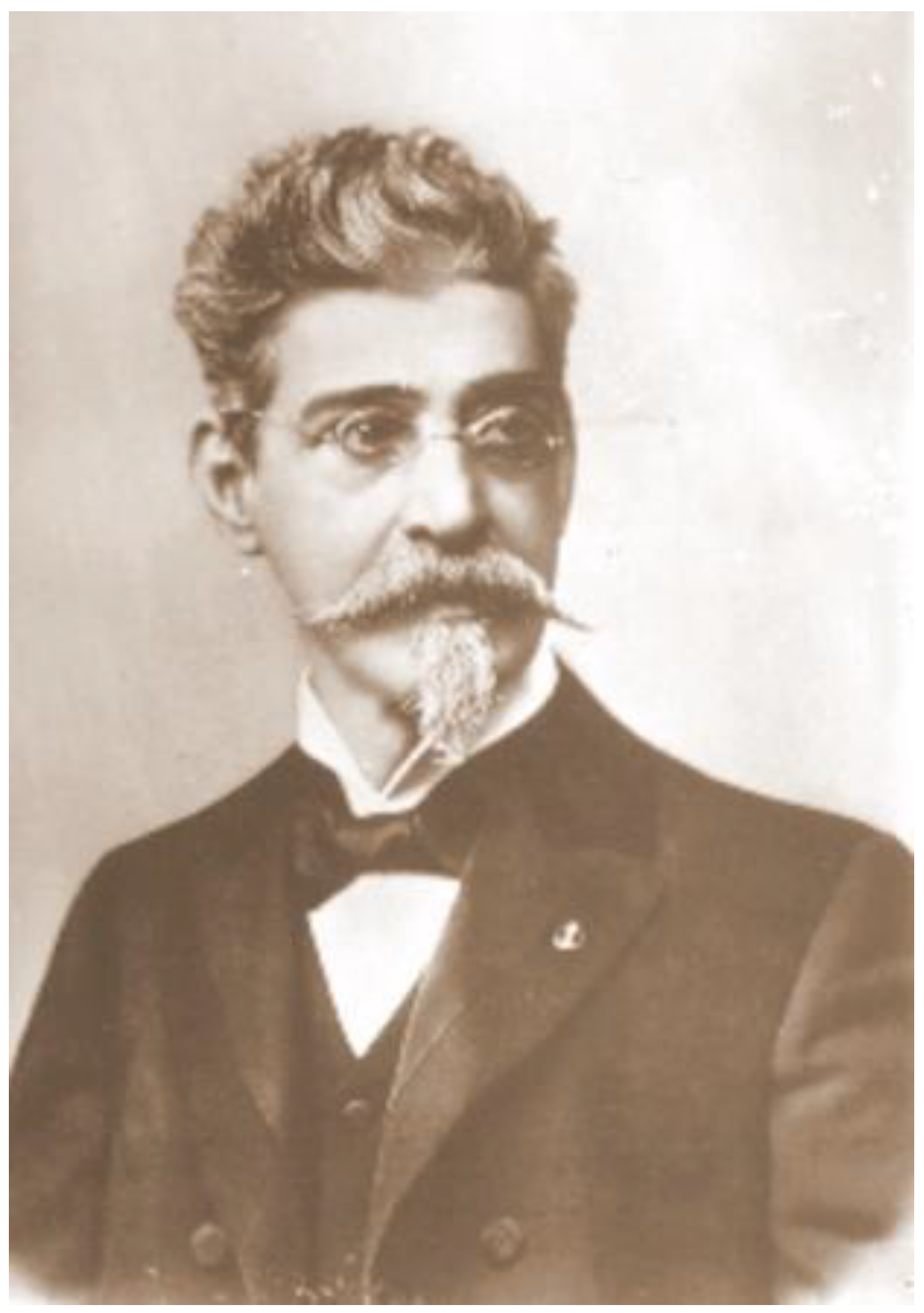 Plants 14 03520 g002