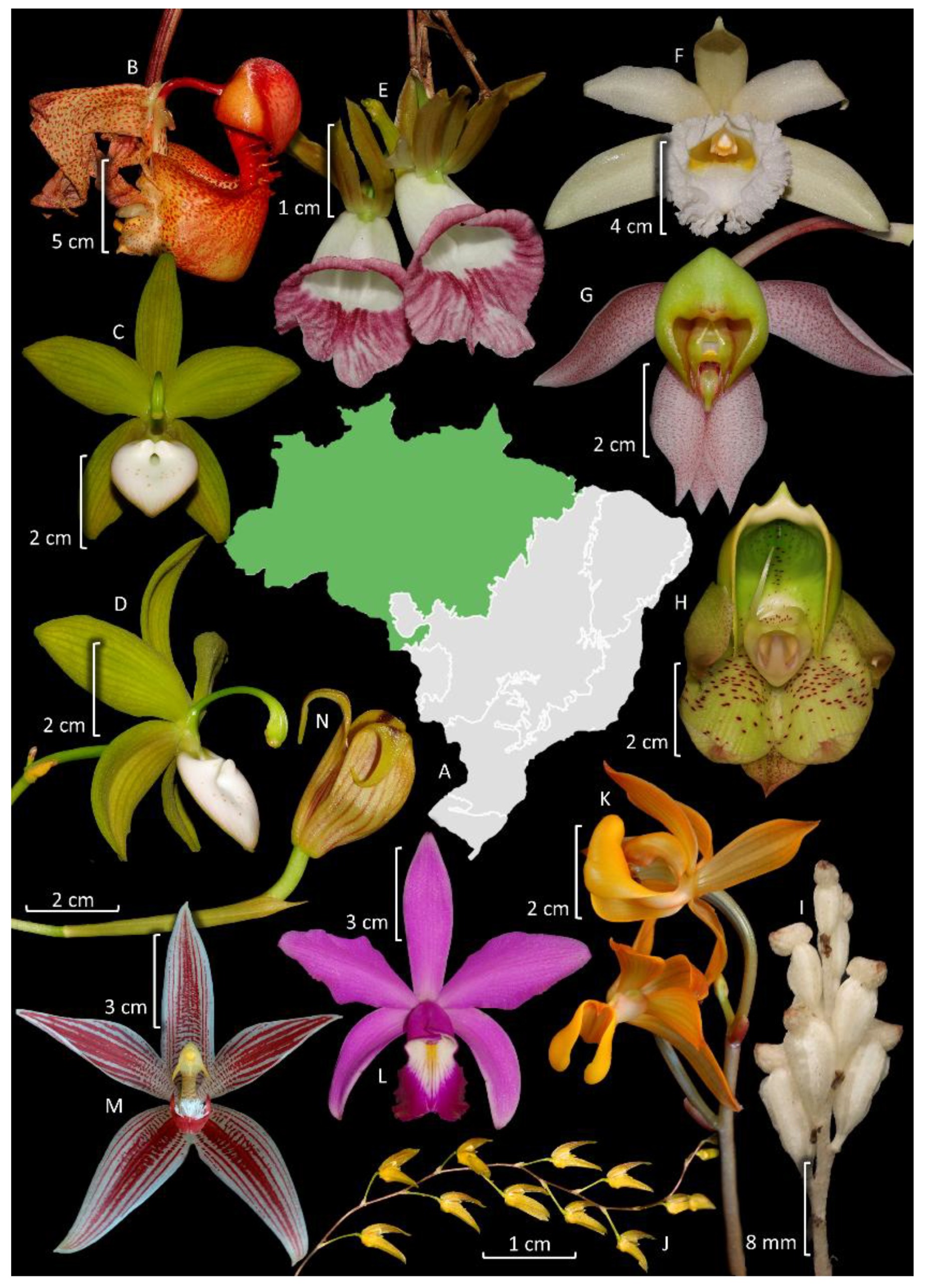 Plants 14 03520 g006