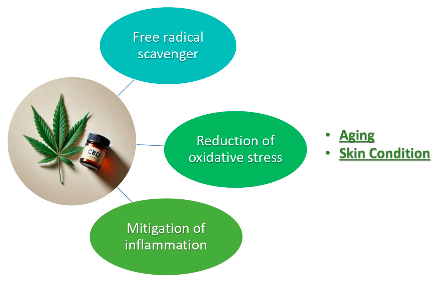 Plants 14 03521 g001