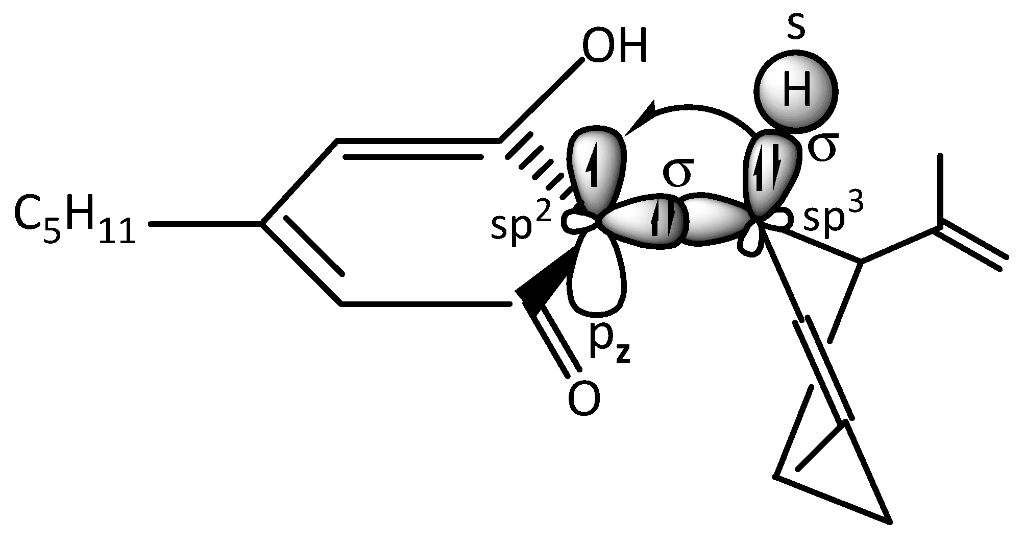 Plants 14 03521 g004