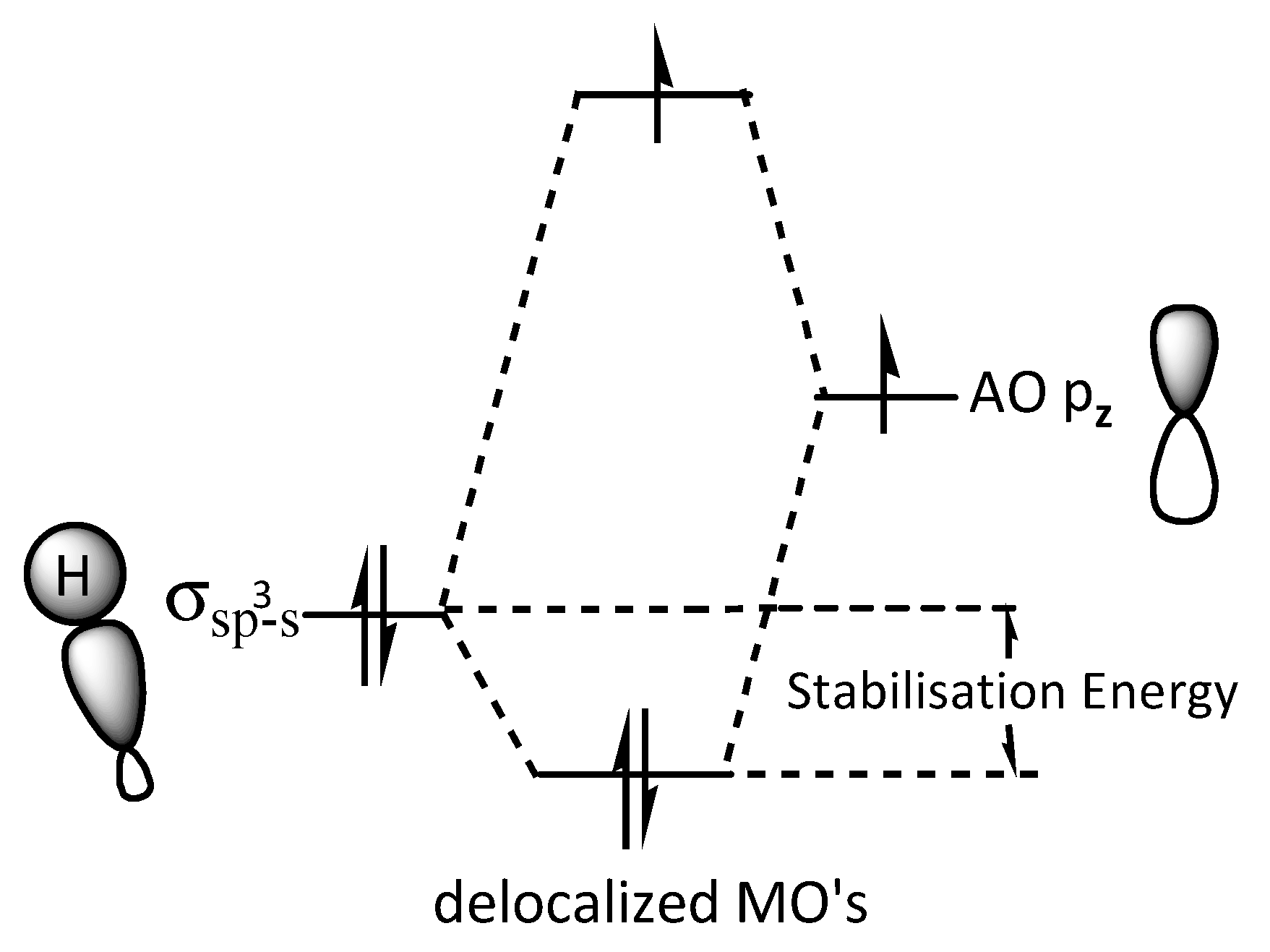 Plants 14 03521 g005