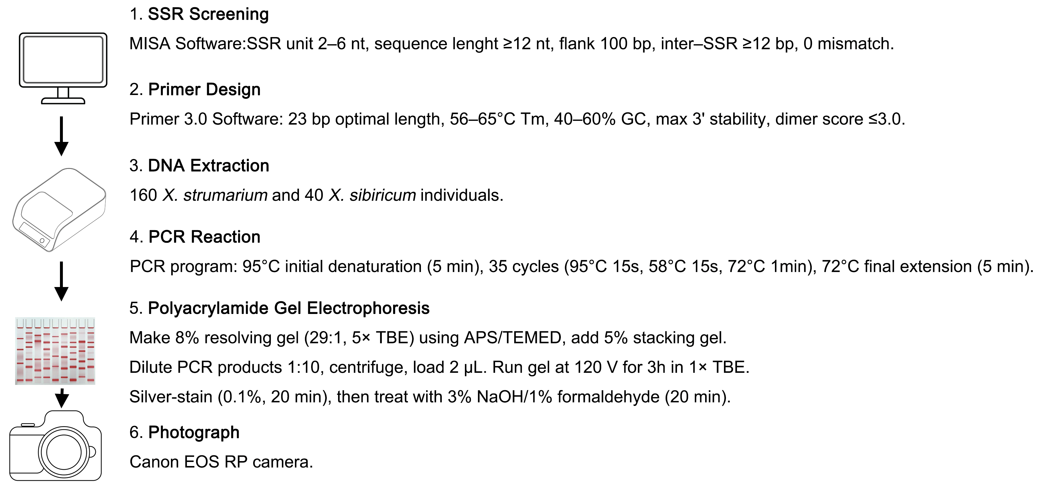 Plants 14 03522 g004