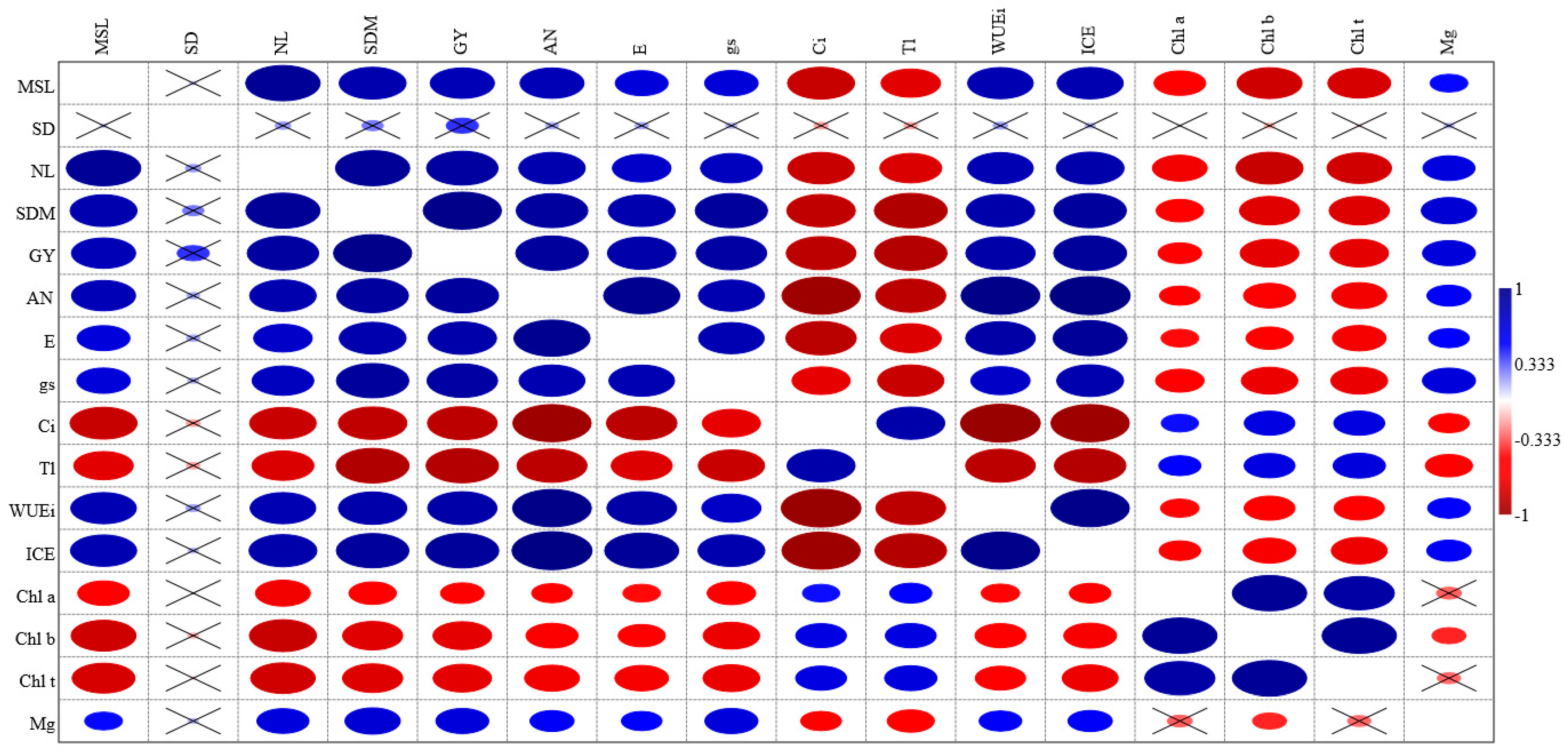 Plants 14 03524 g002