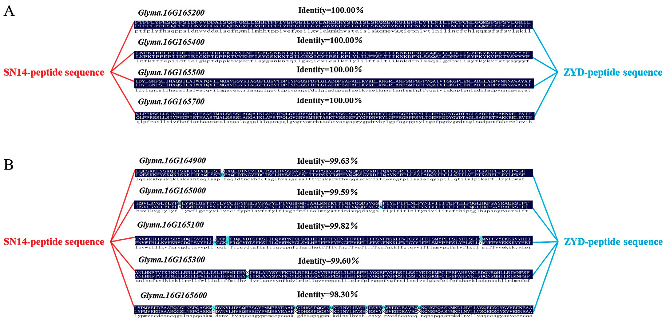 Plants 14 03525 g006
