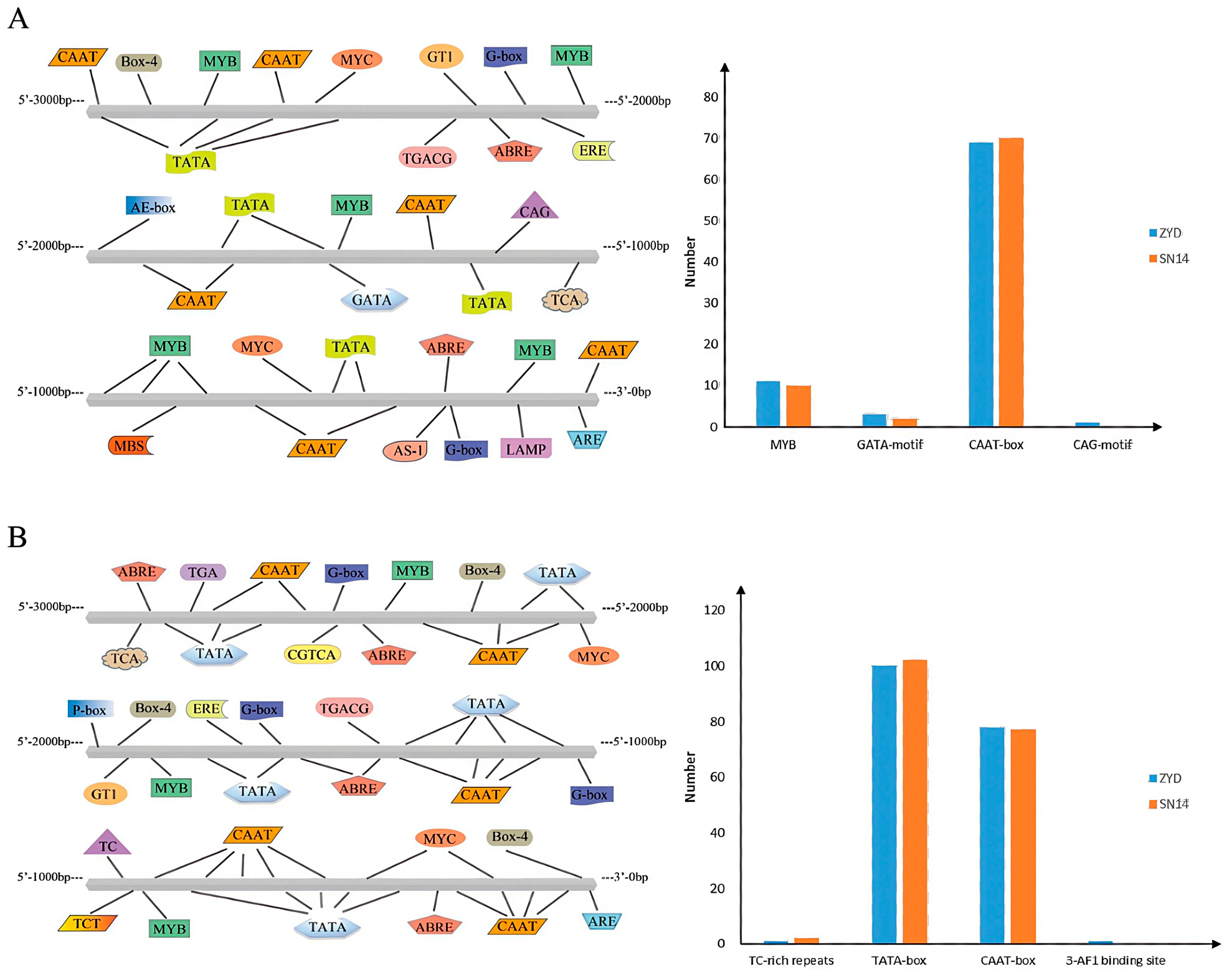 Plants 14 03525 g009