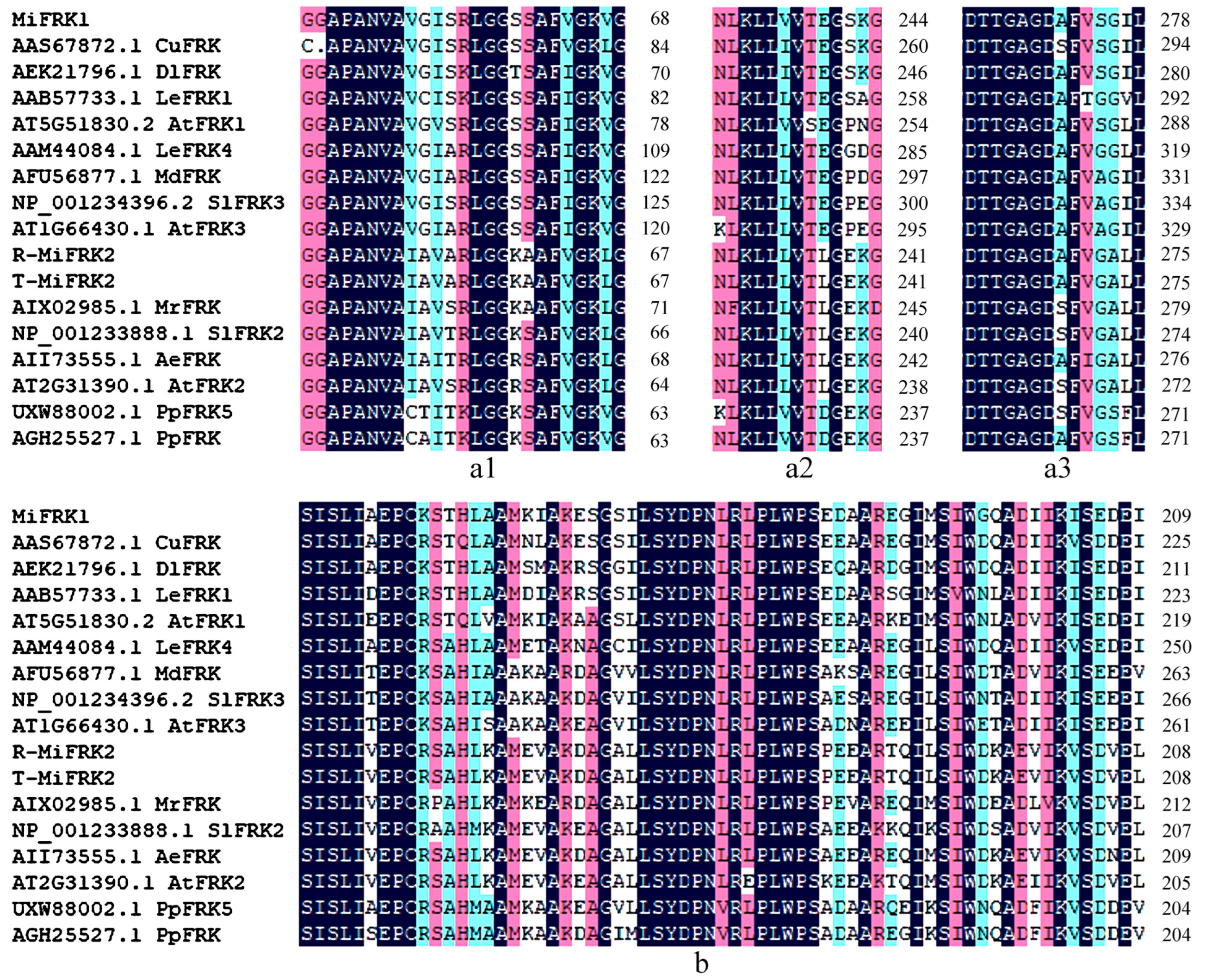 Plants 14 03526 g001