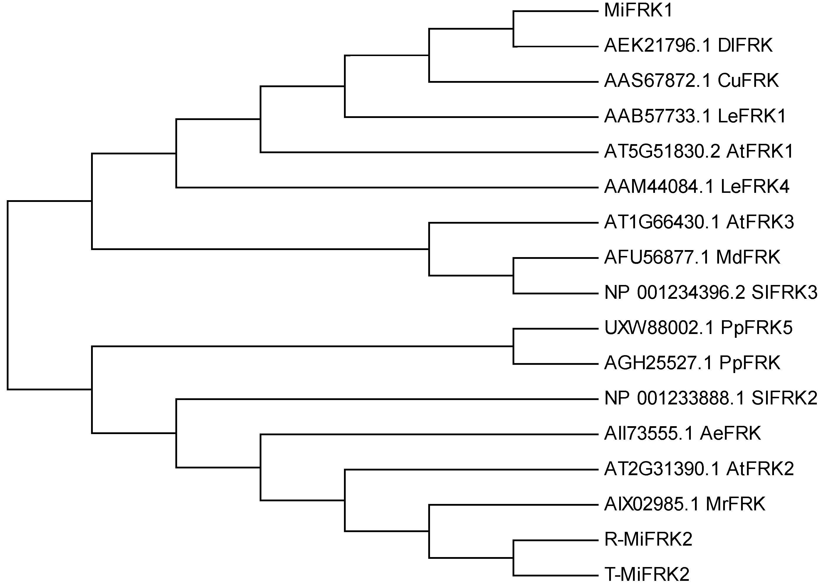 Plants 14 03526 g002