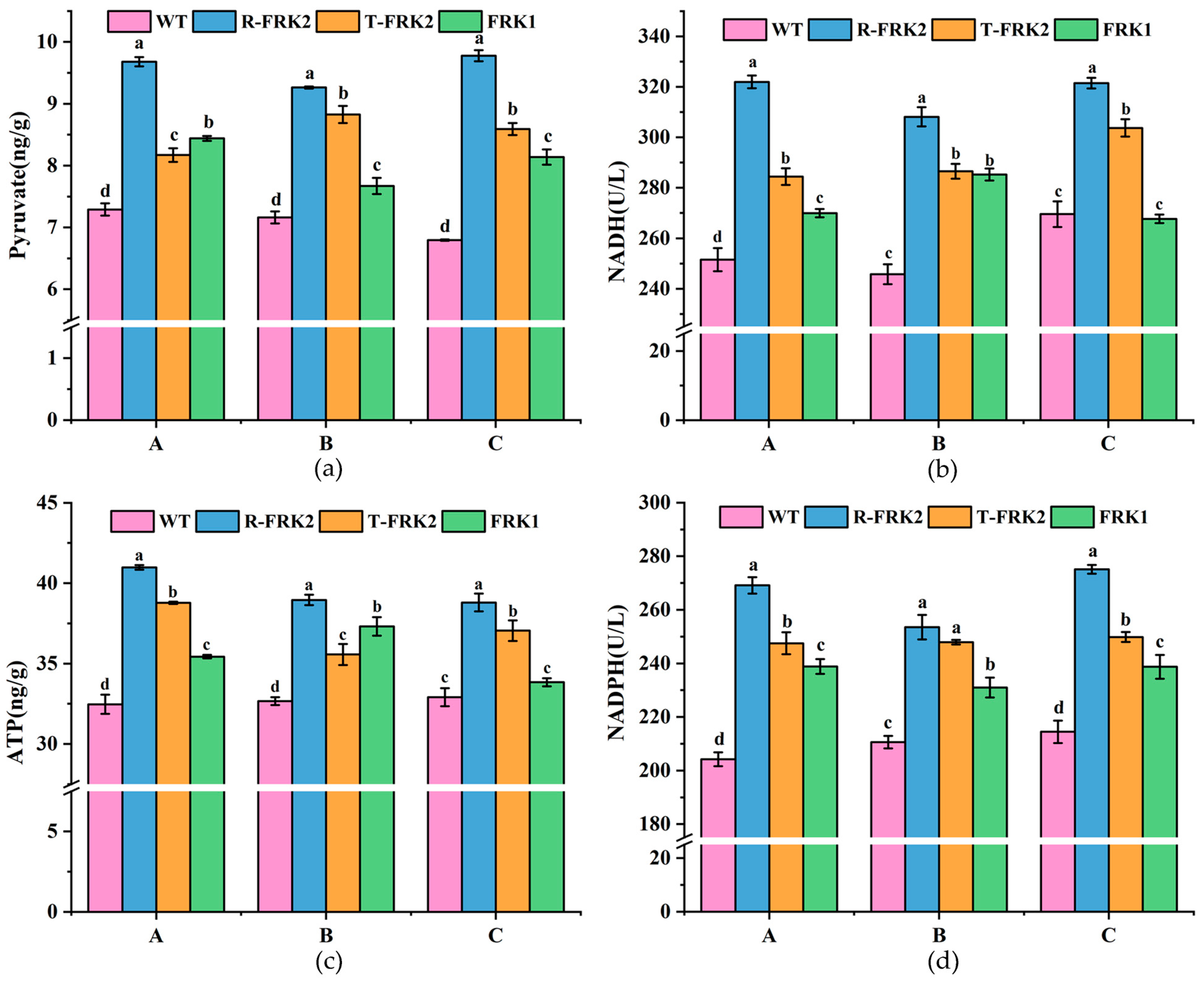 Plants 14 03526 g006