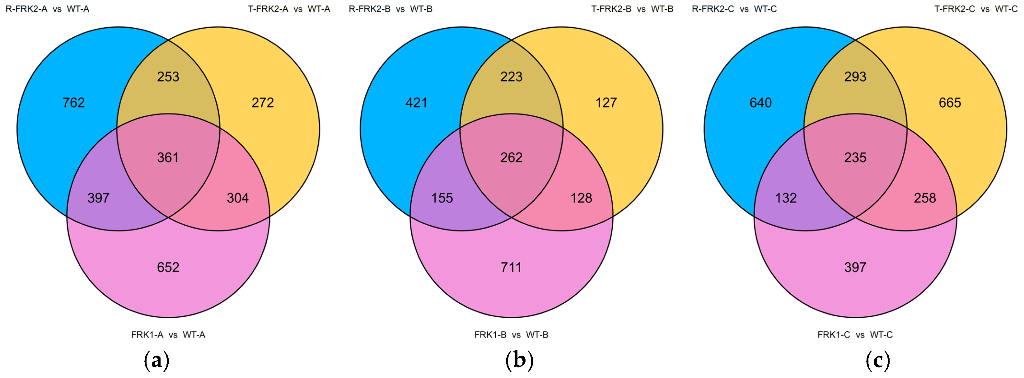 Plants 14 03526 g007
