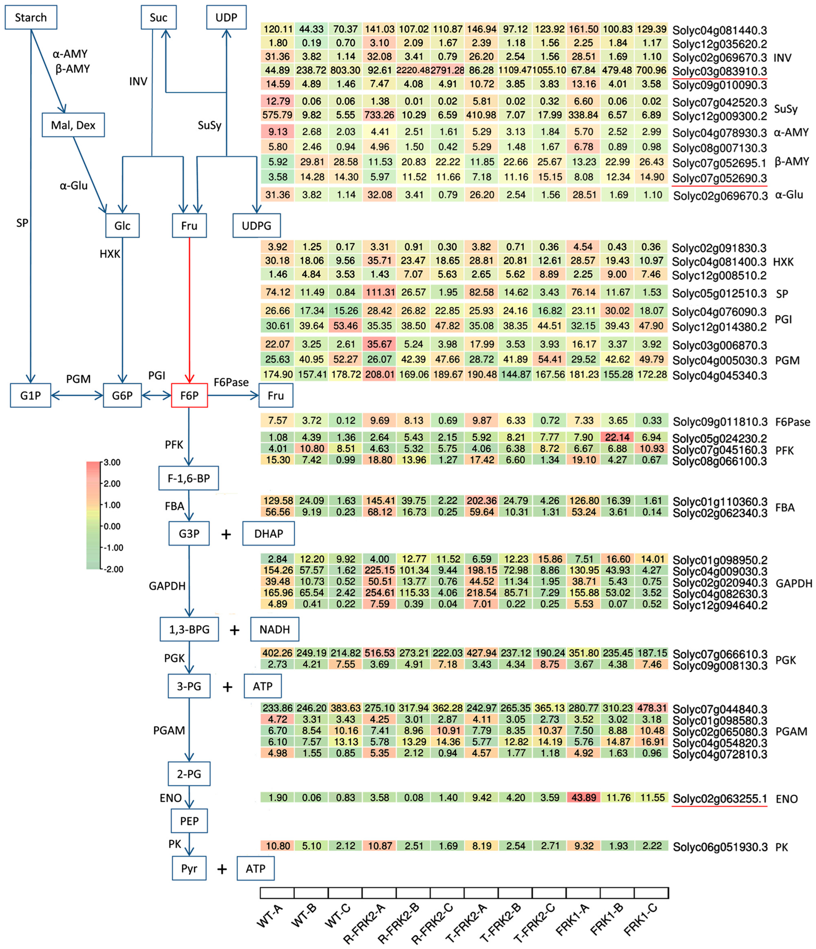 Plants 14 03526 g009