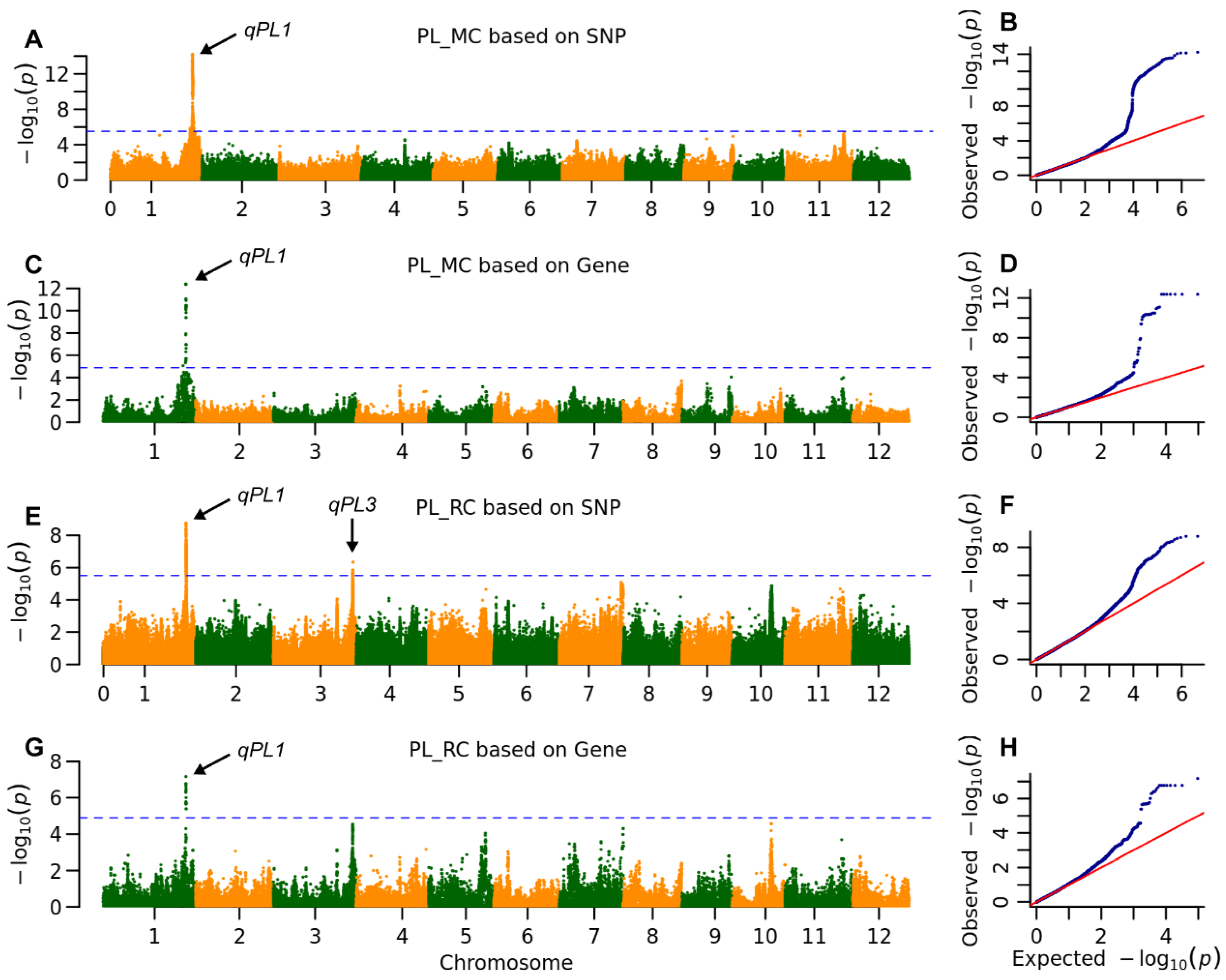 Plants 14 03527 g002