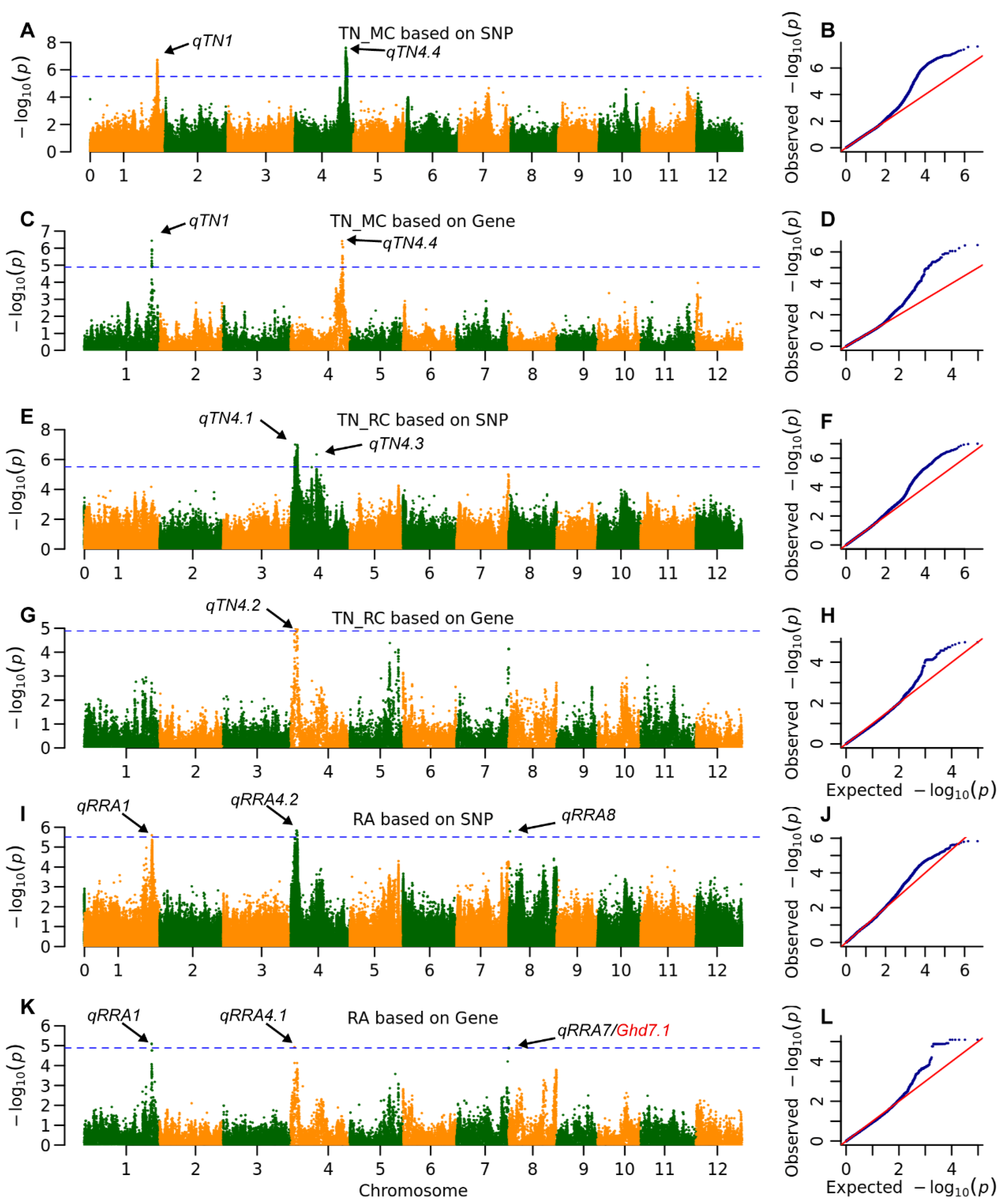 Plants 14 03527 g004