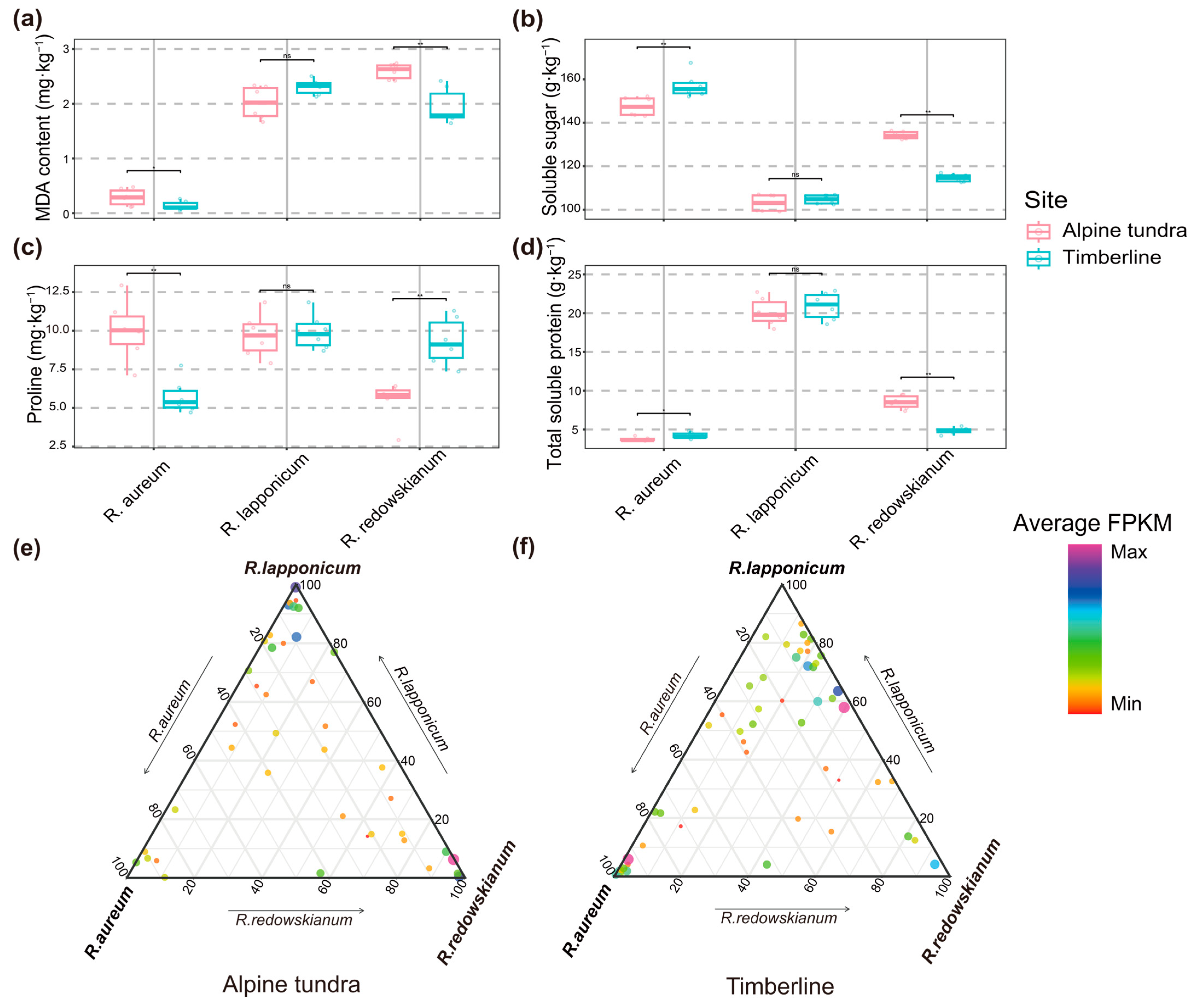 Plants 14 03528 g002