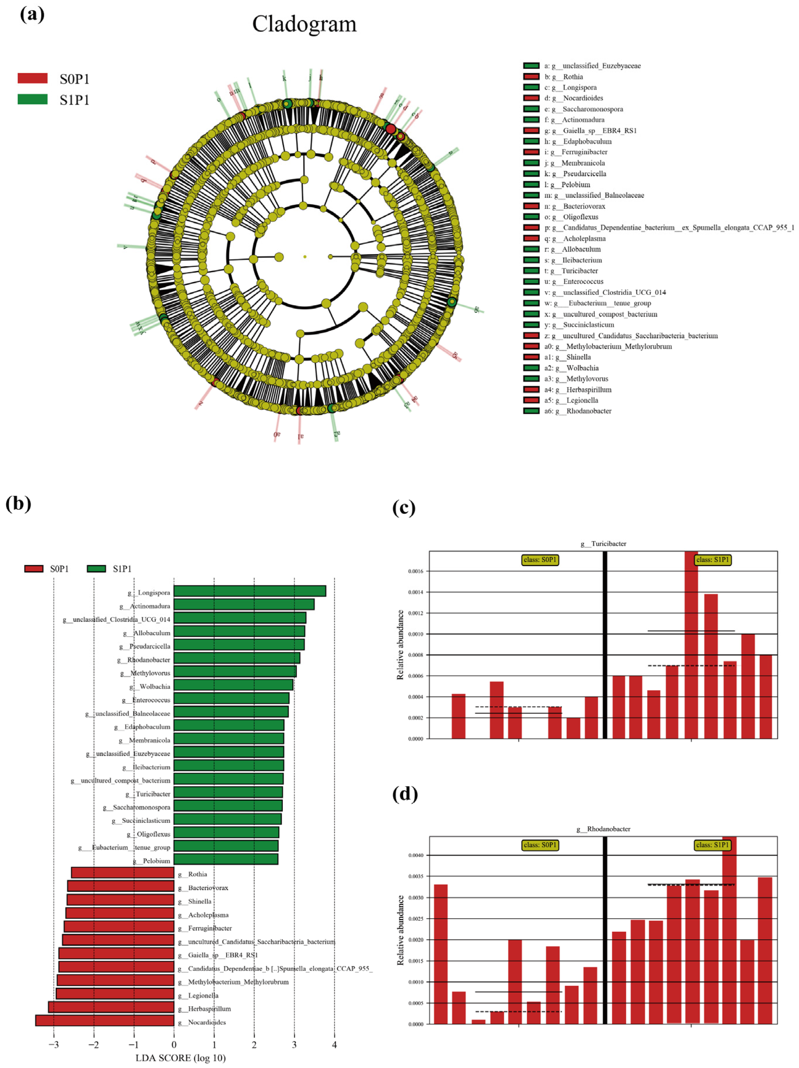 Plants 14 03530 g0a1