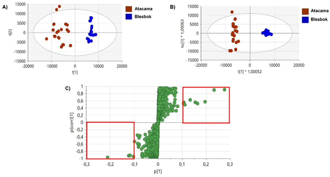 Plants 14 03532 g001