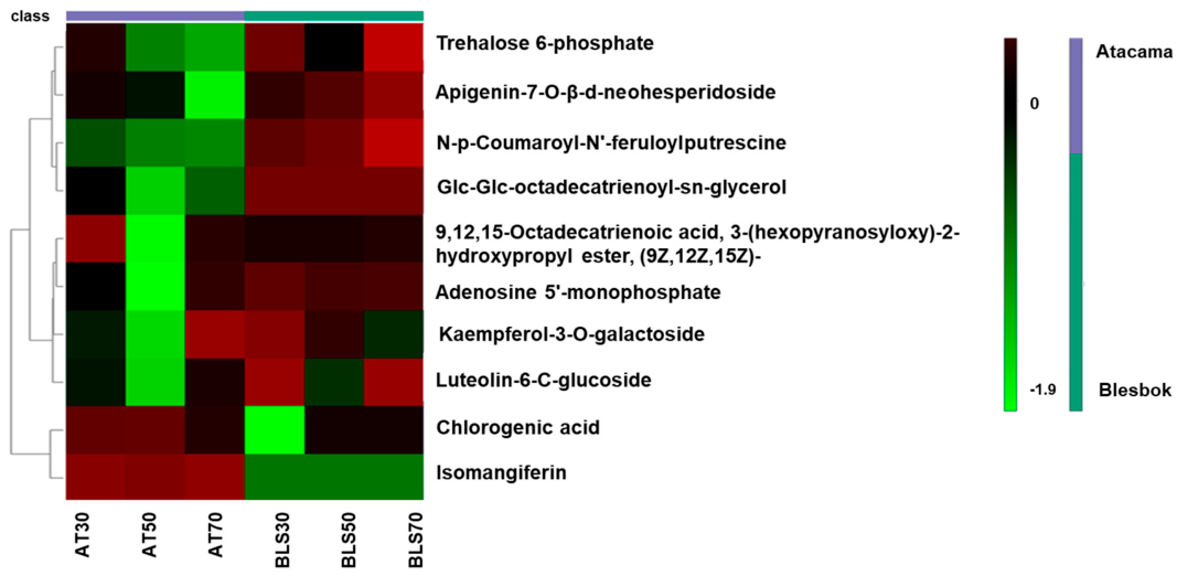 Plants 14 03532 g002