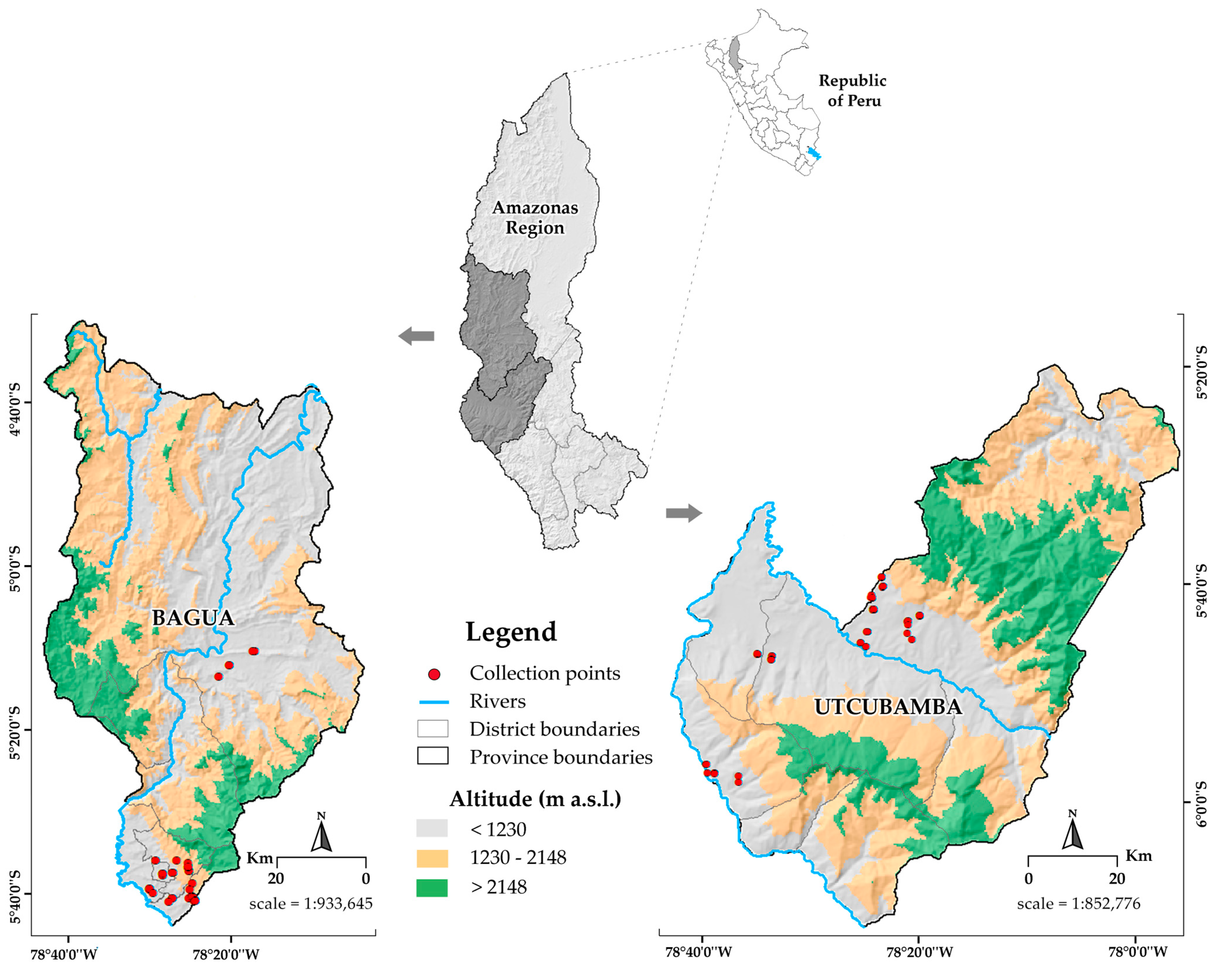 Plants 14 03536 g001