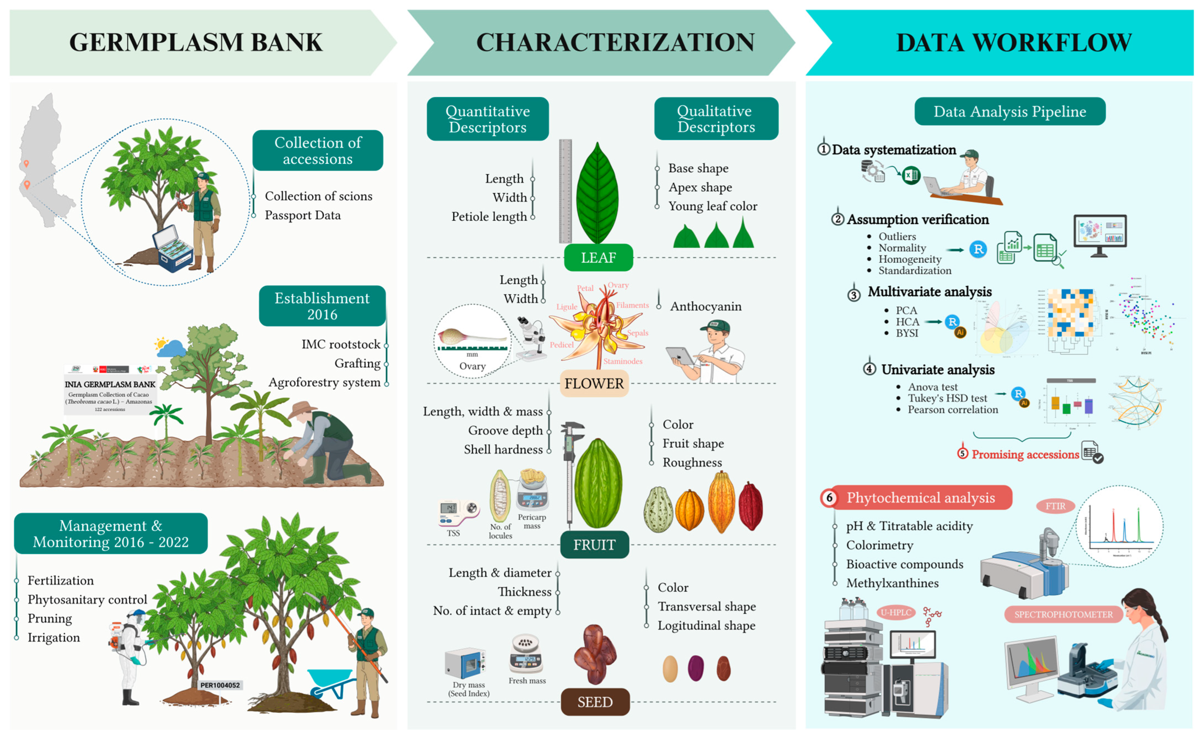Plants 14 03536 g002