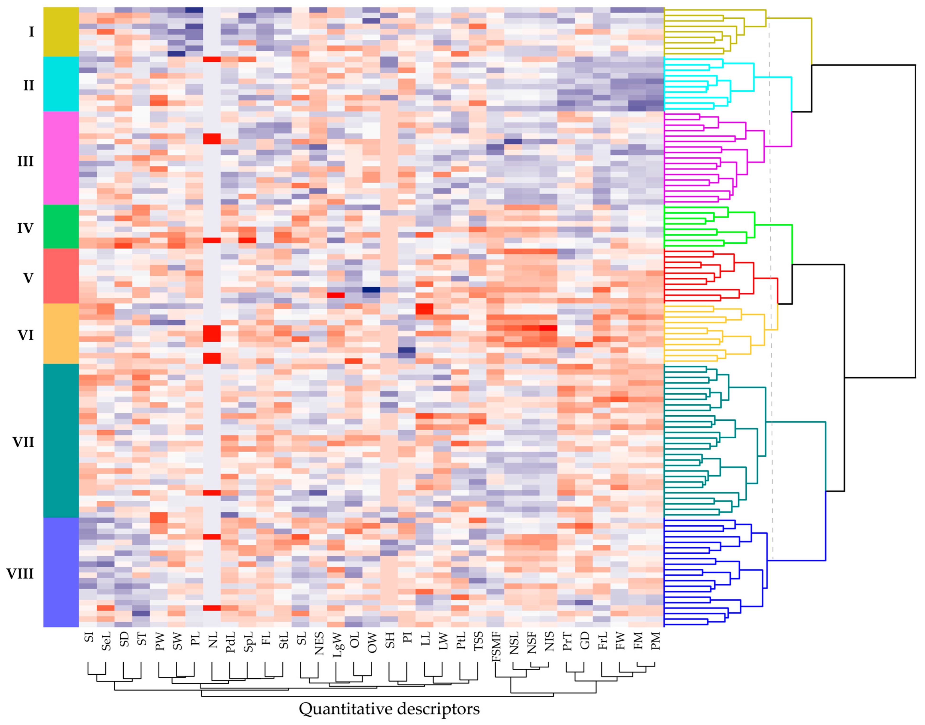 Plants 14 03536 g007