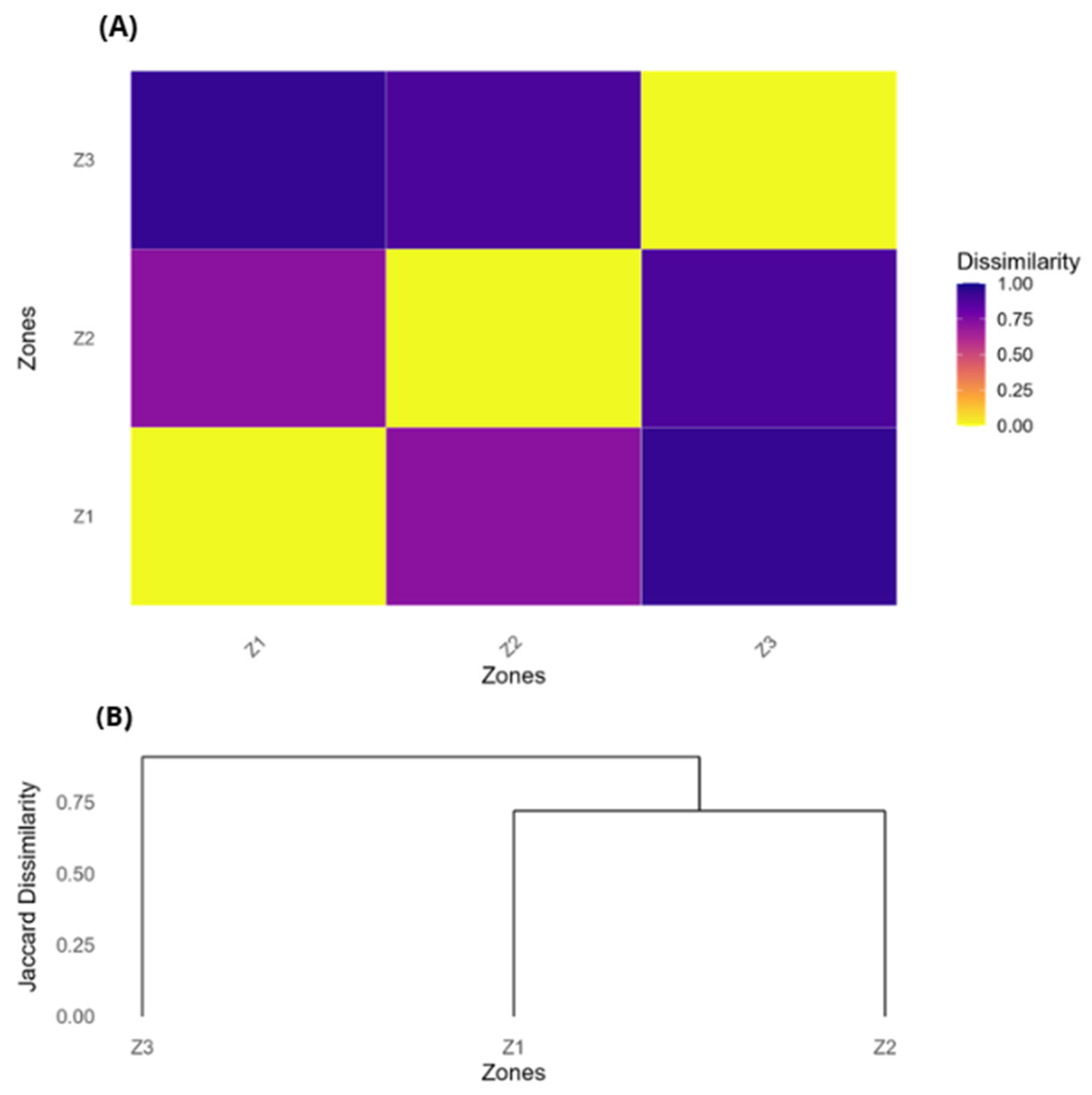 Plants 14 03537 g008