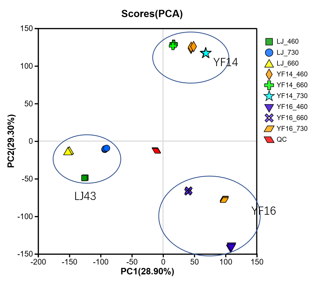 Plants 14 03539 g008