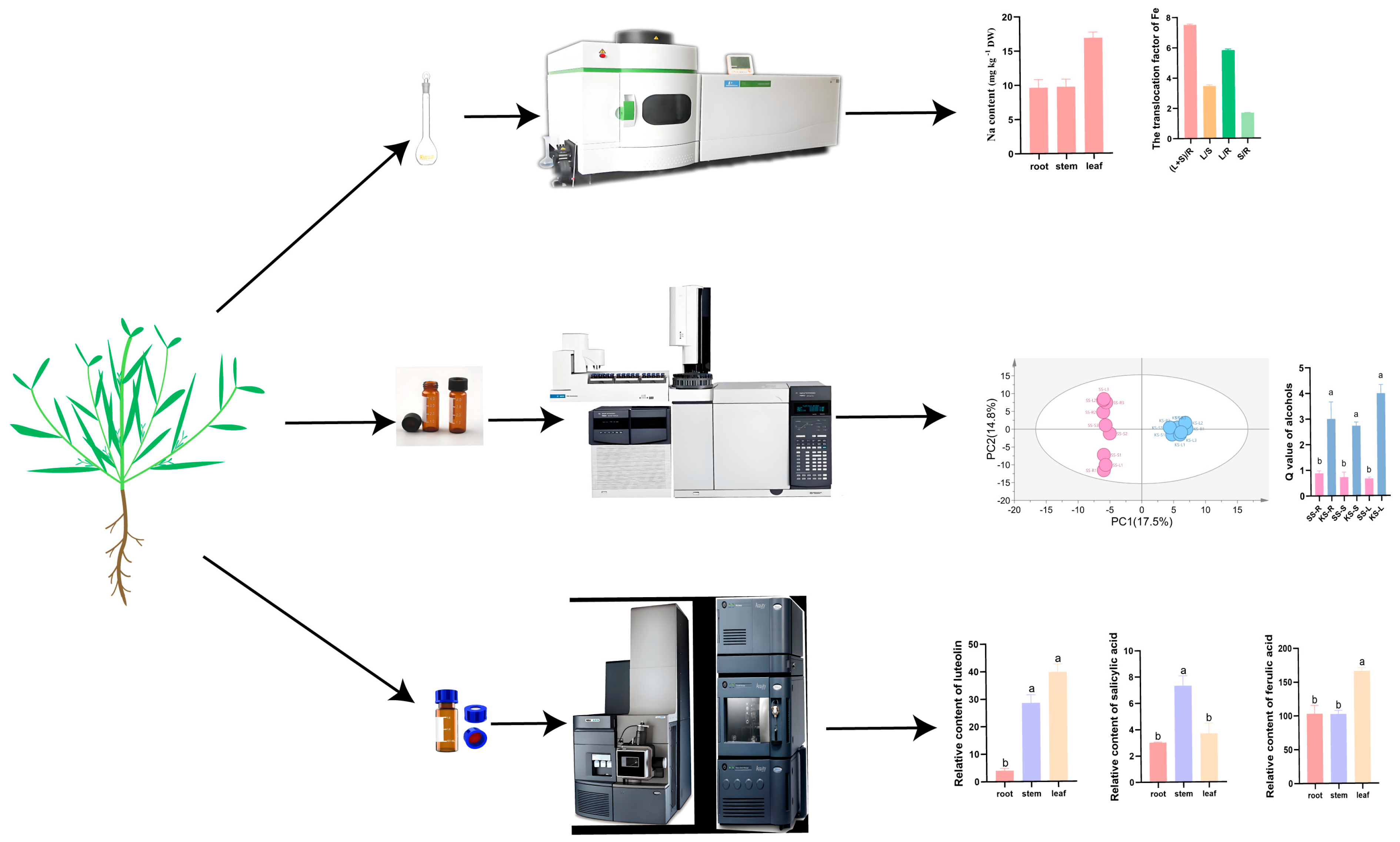 Plants 14 03540 g001