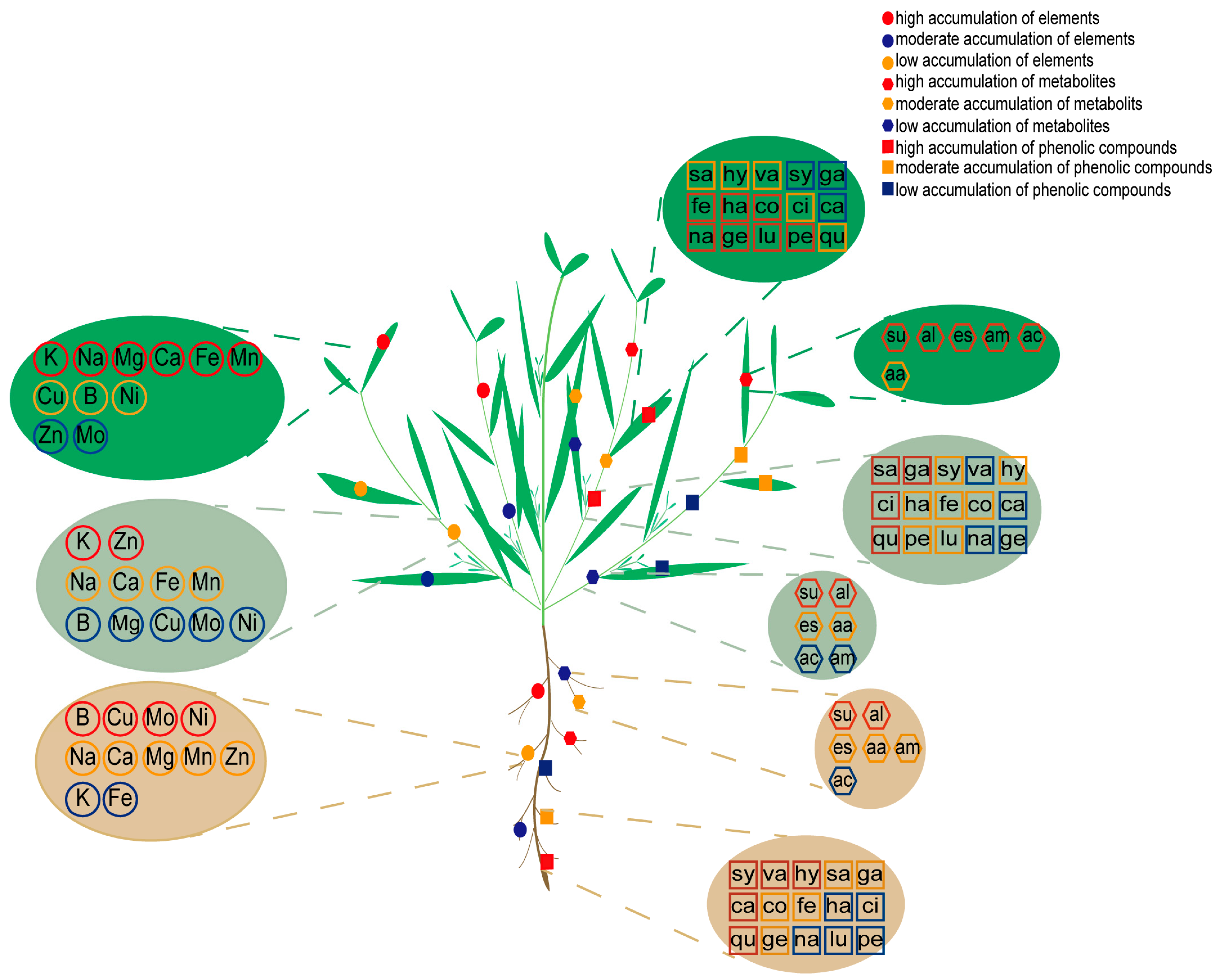 Plants 14 03540 g006