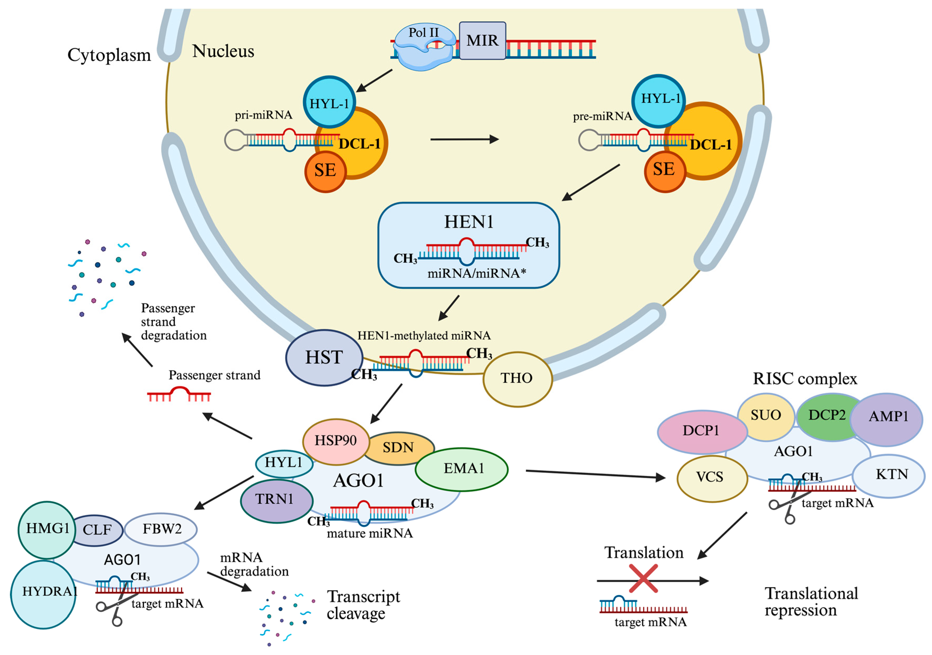 Plants 14 03541 g002 Plants 14 03541 g002