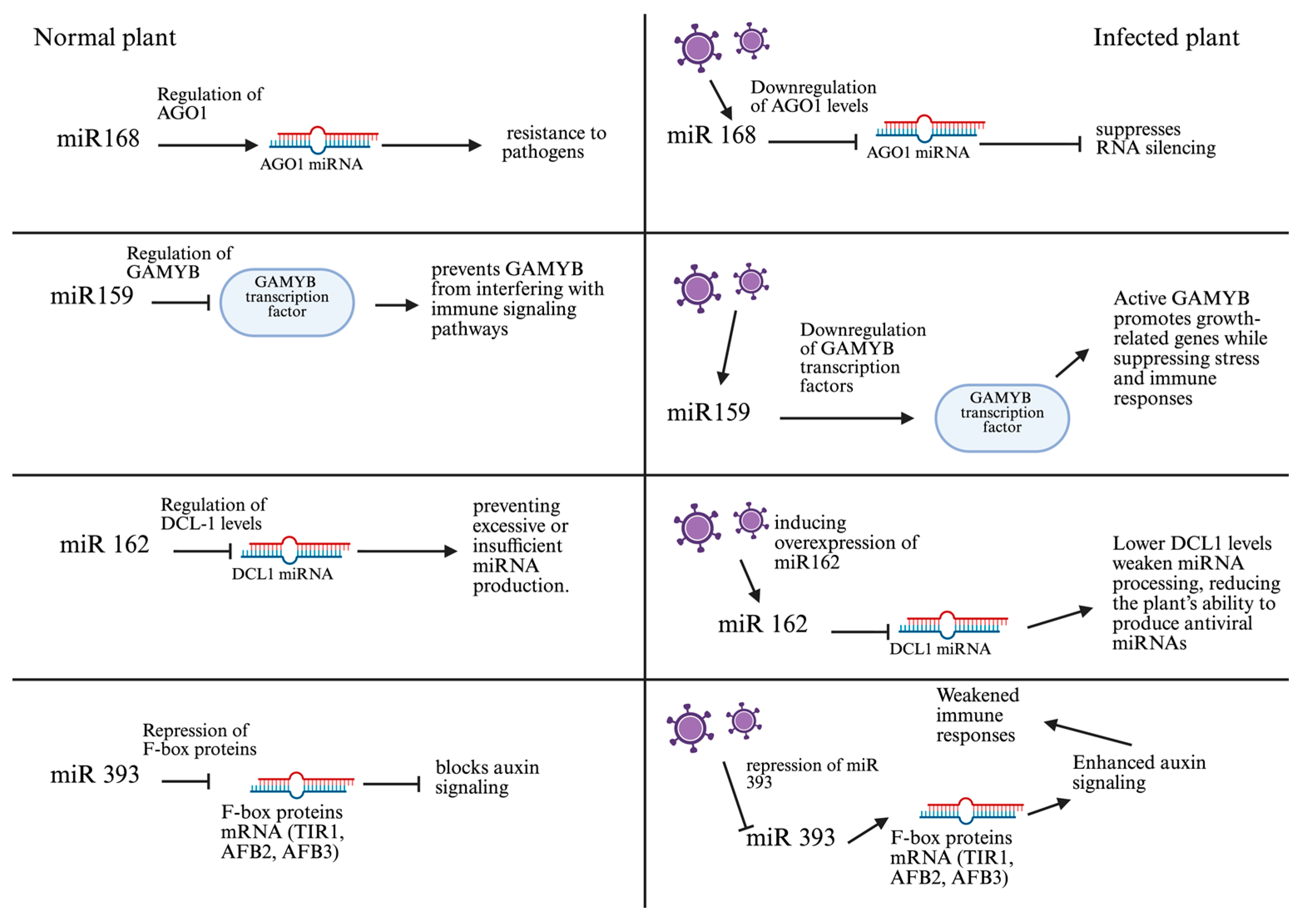 Plants 14 03541 g003 Plants 14 03541 g003