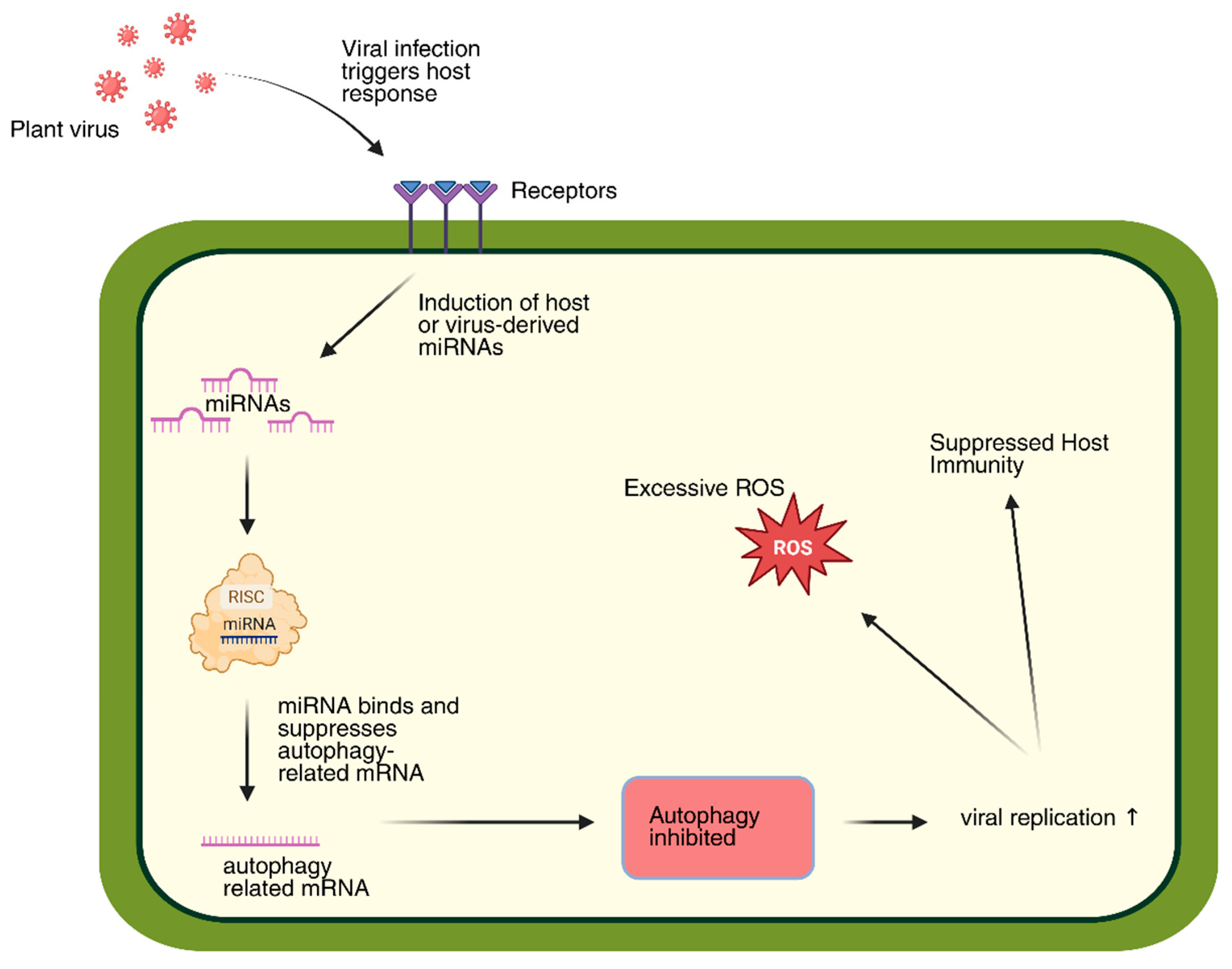 Plants 14 03541 g006 Plants 14 03541 g006