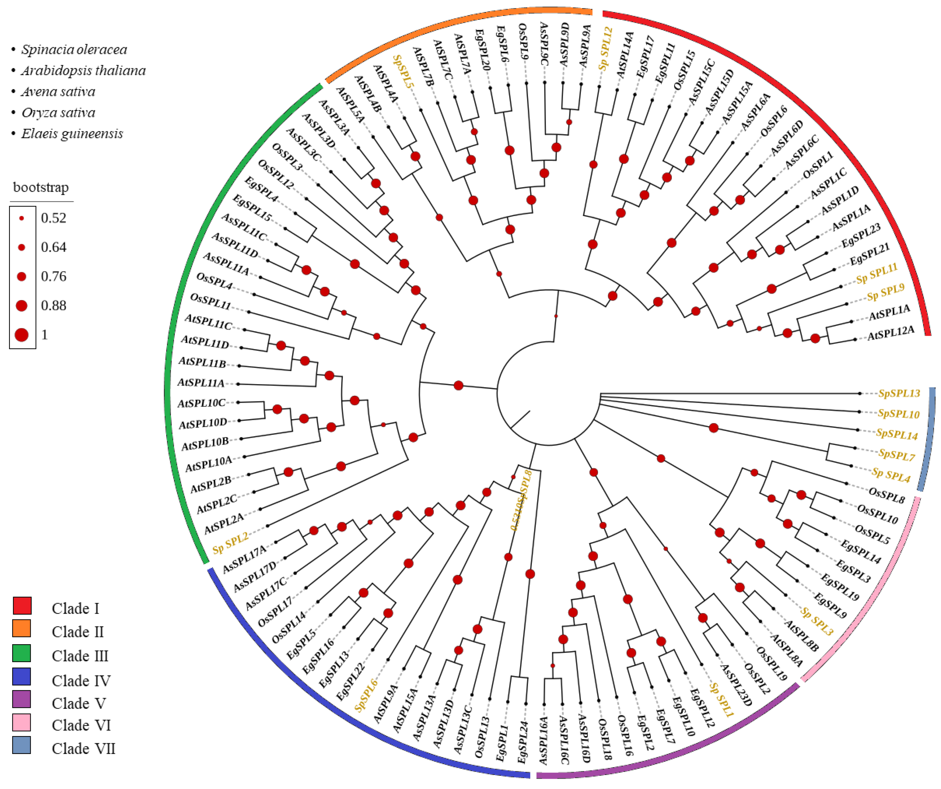 Plants 14 03543 g002