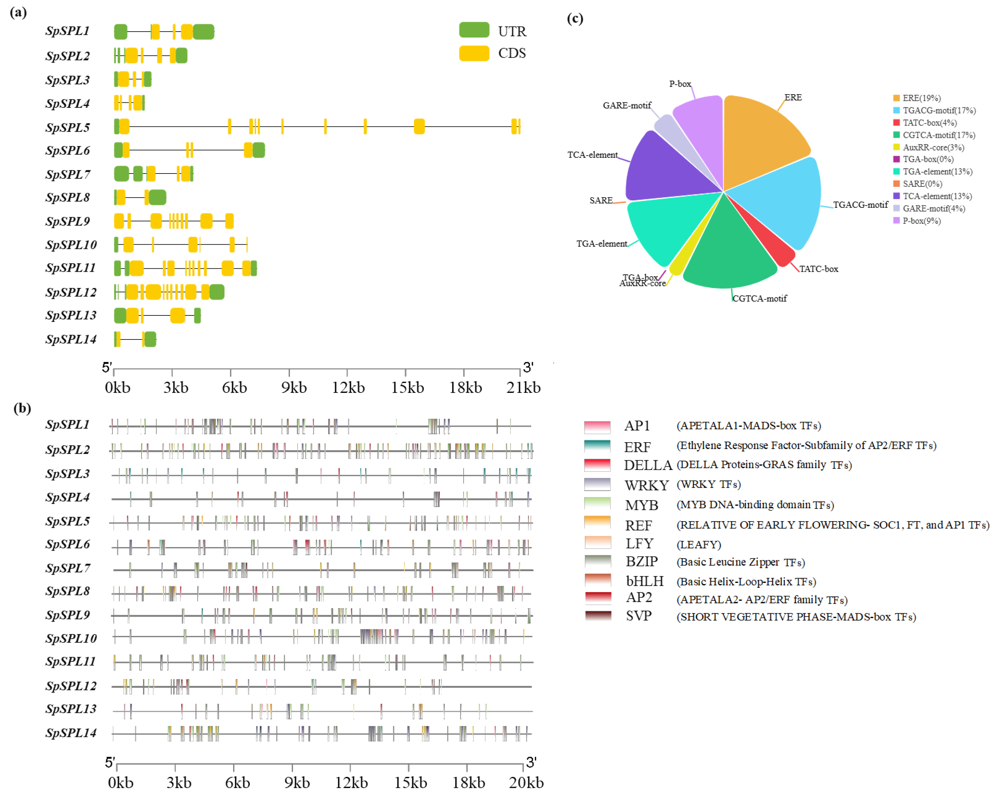 Plants 14 03543 g005
