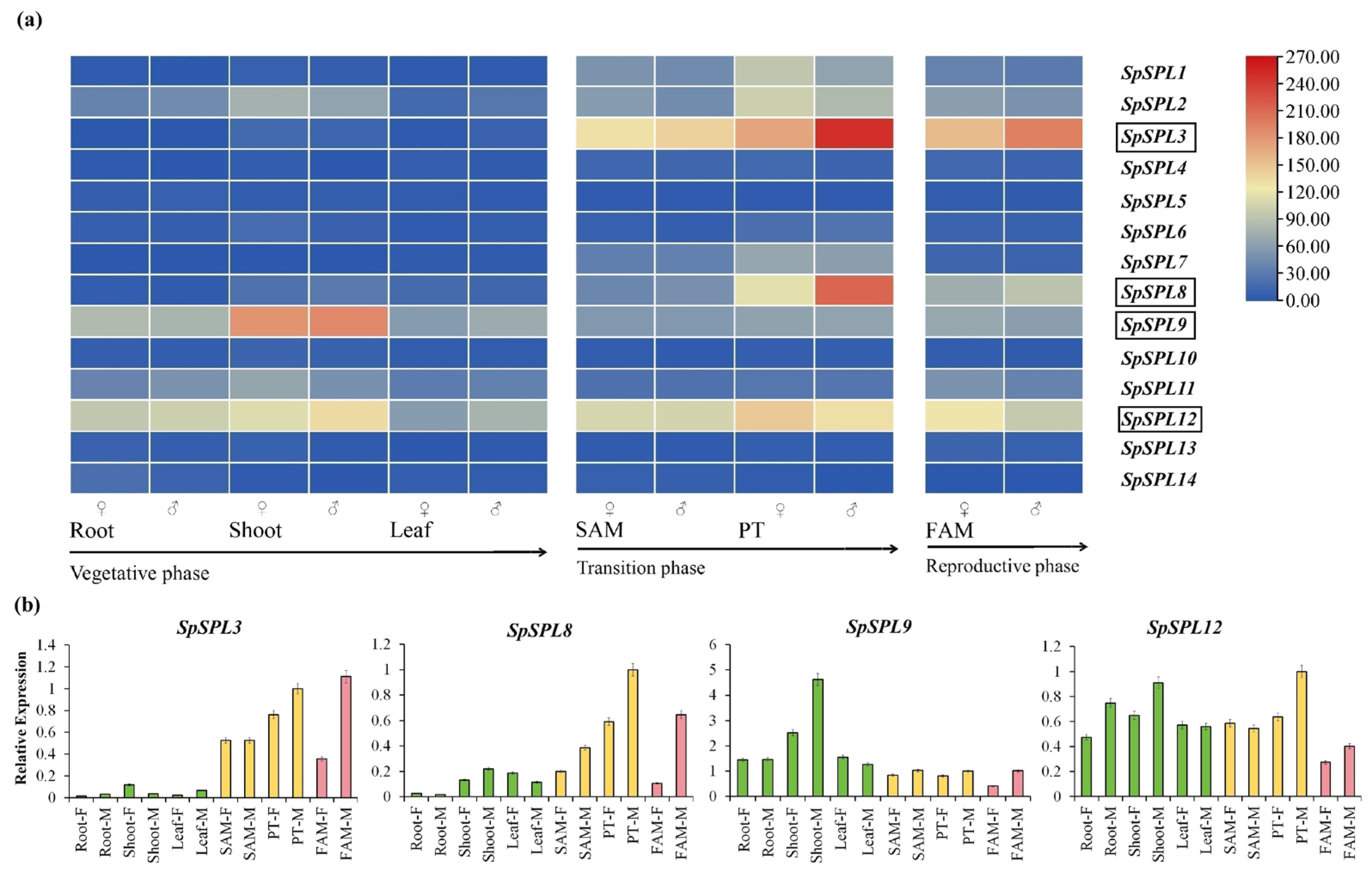 Plants 14 03543 g006