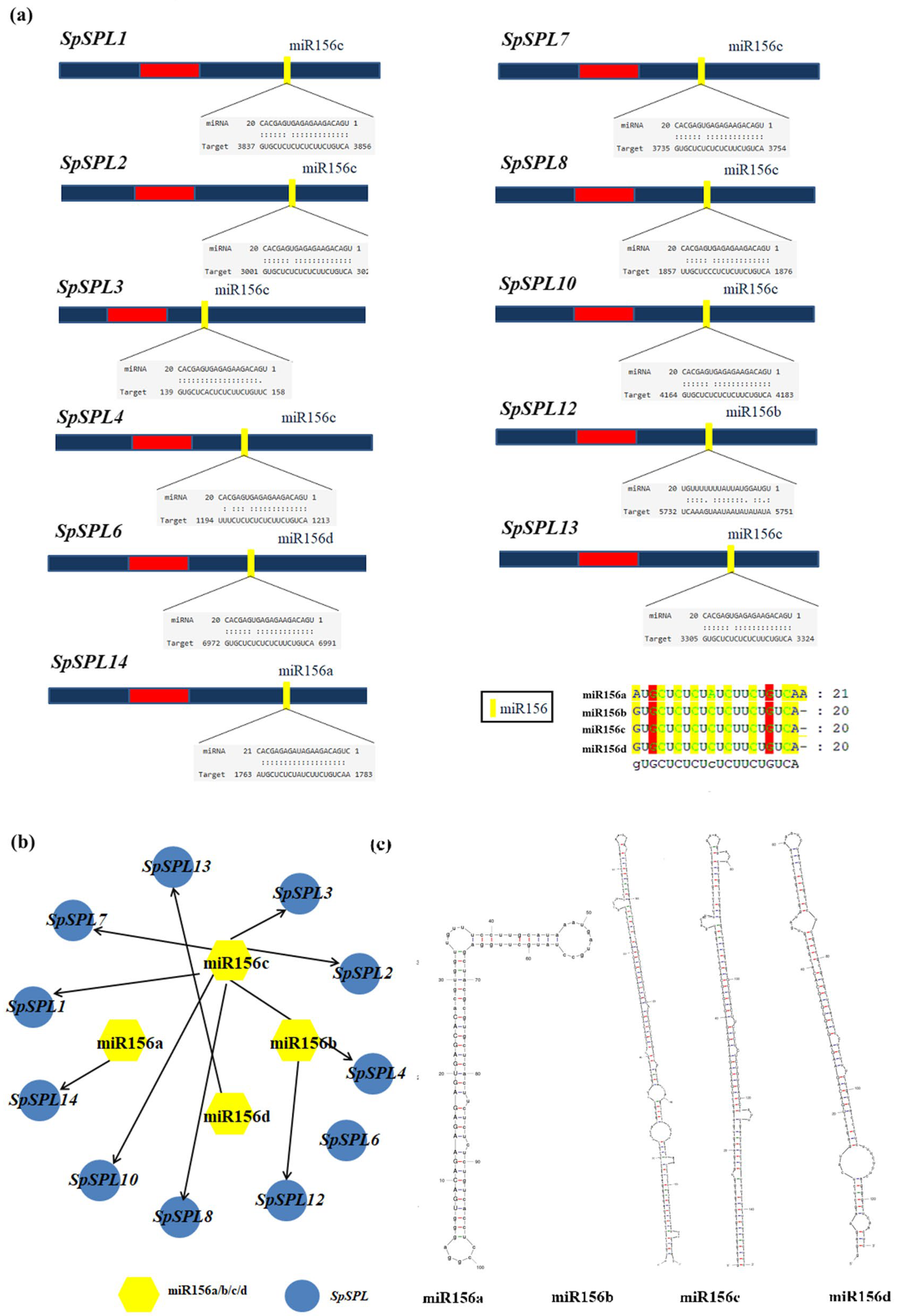 Plants 14 03543 g007