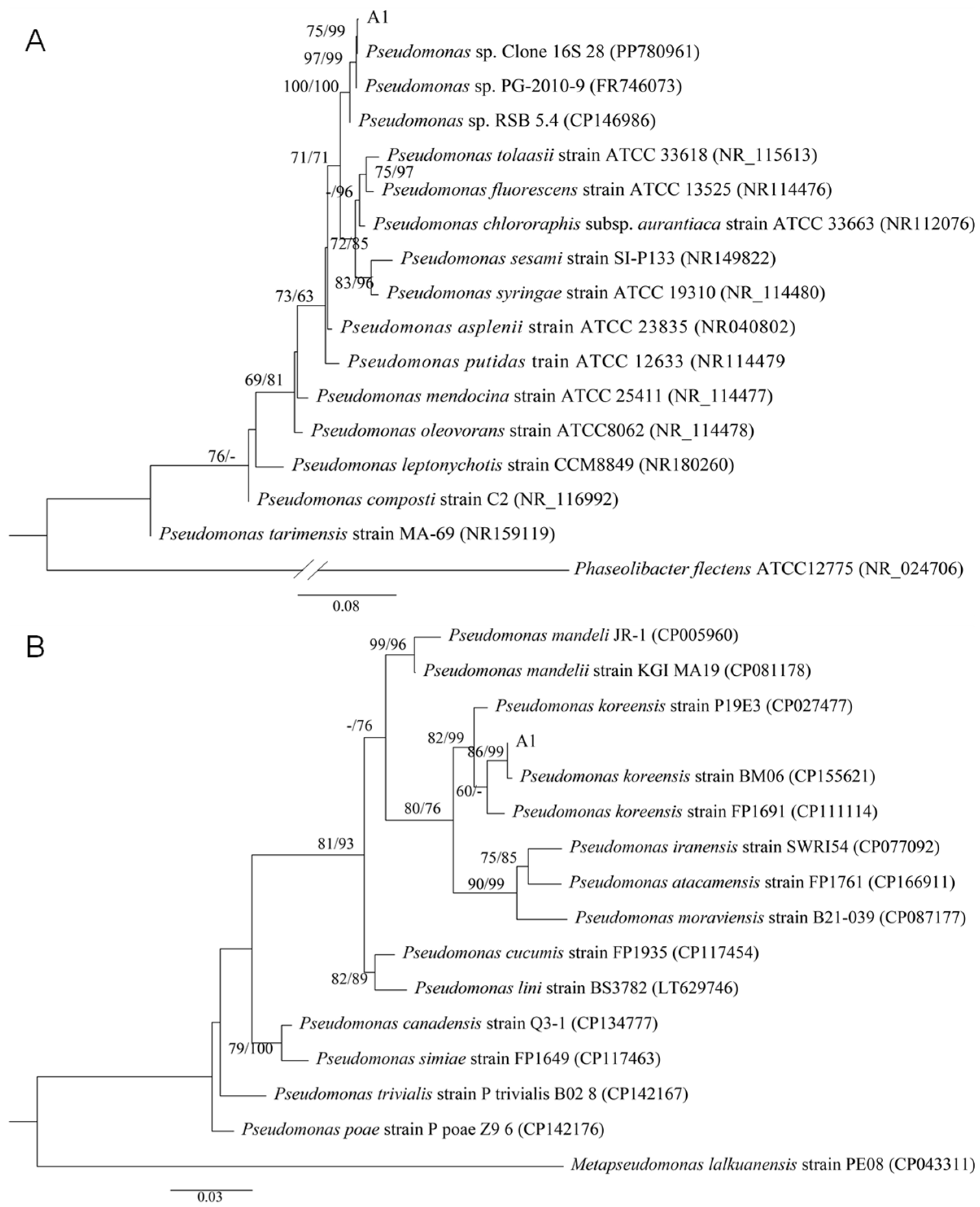 Plants 14 03546 g002