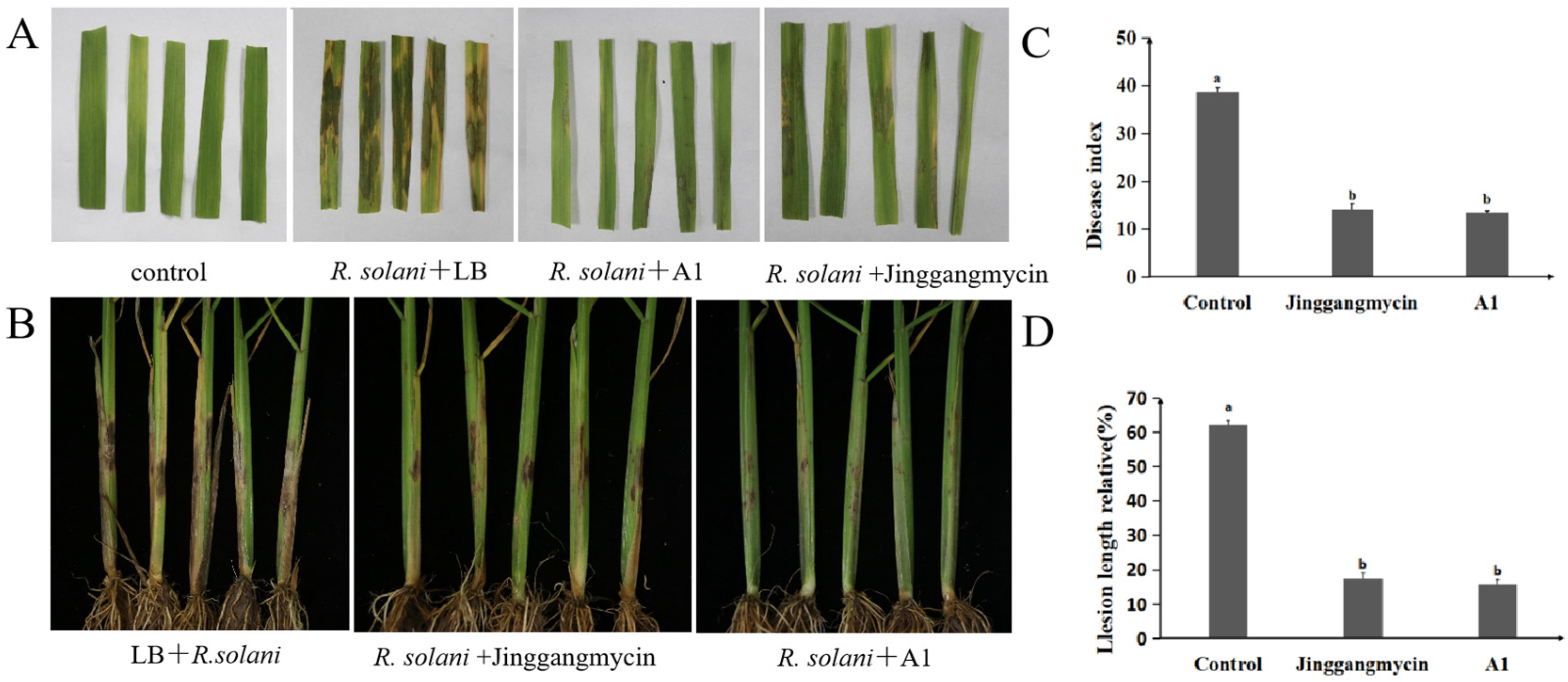 Plants 14 03546 g004