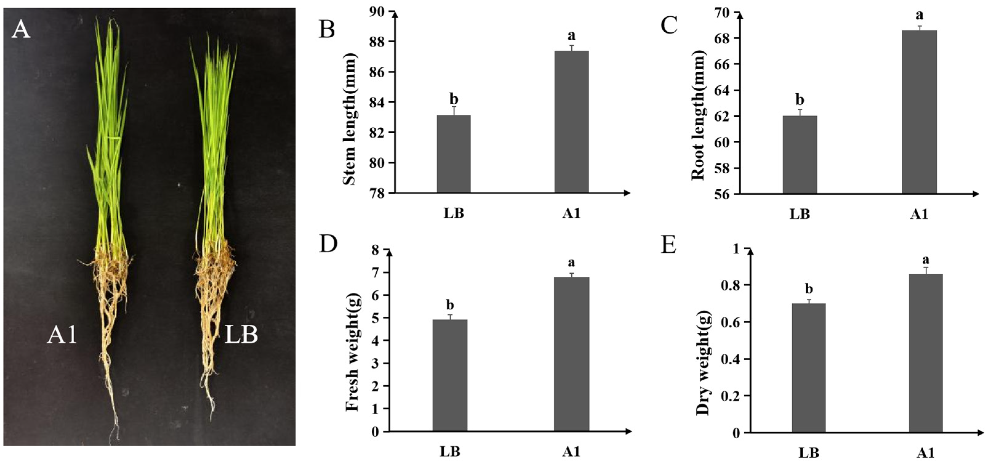 Plants 14 03546 g005